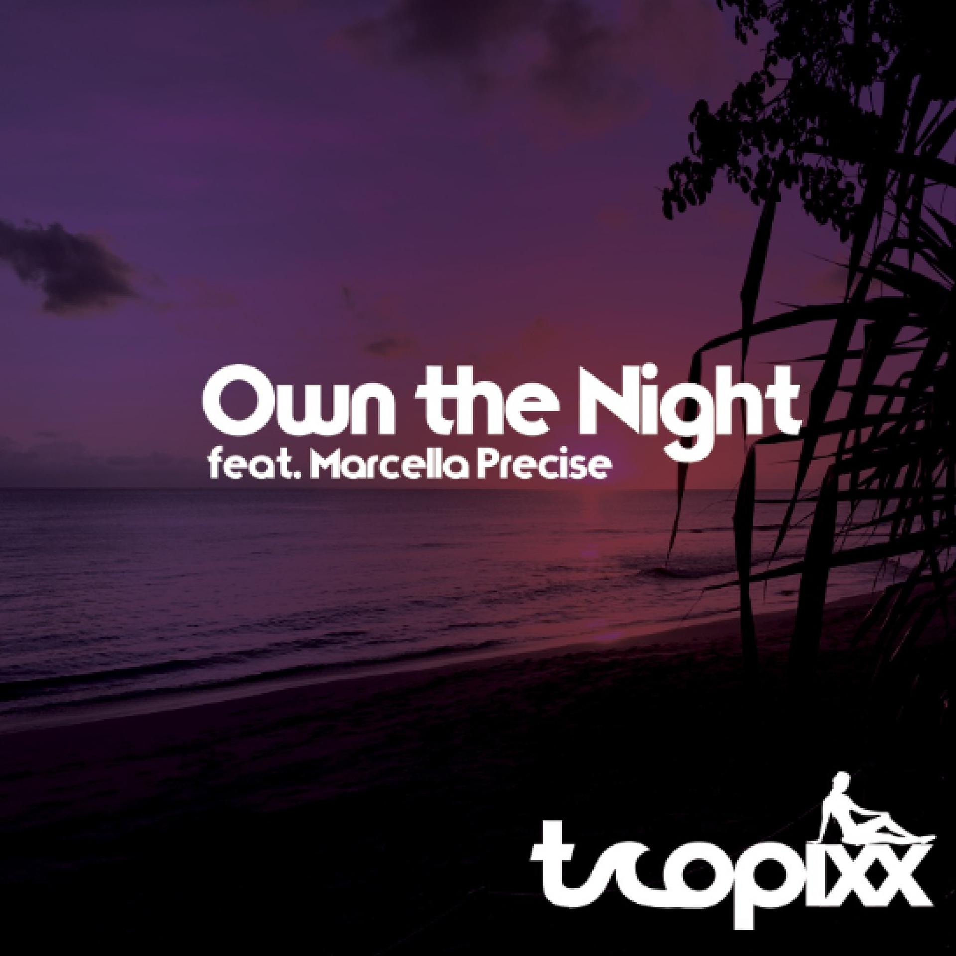 Постер альбома Own the Night (feat. Marcella Precise)