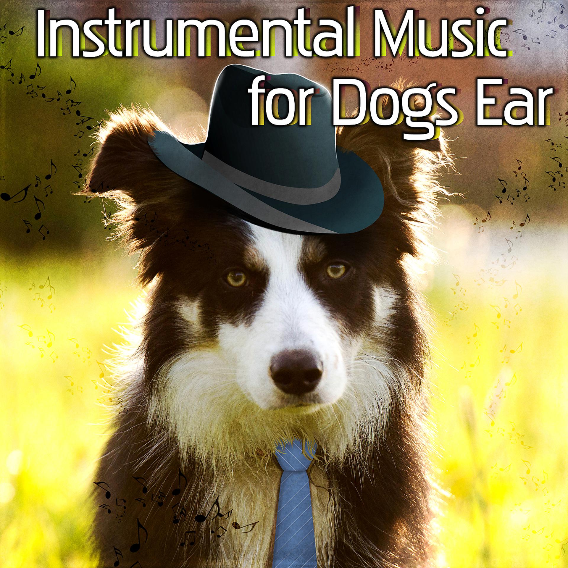 Постер альбома Instrumental Music for Dogs Ear: Pets Relaxation, Comfort & Happiness, Jazz Music for Pets While You're Out