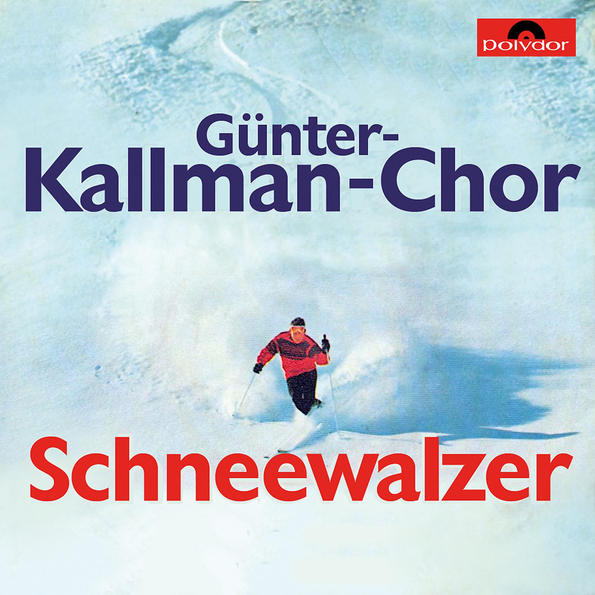 Постер альбома Schneewalzer