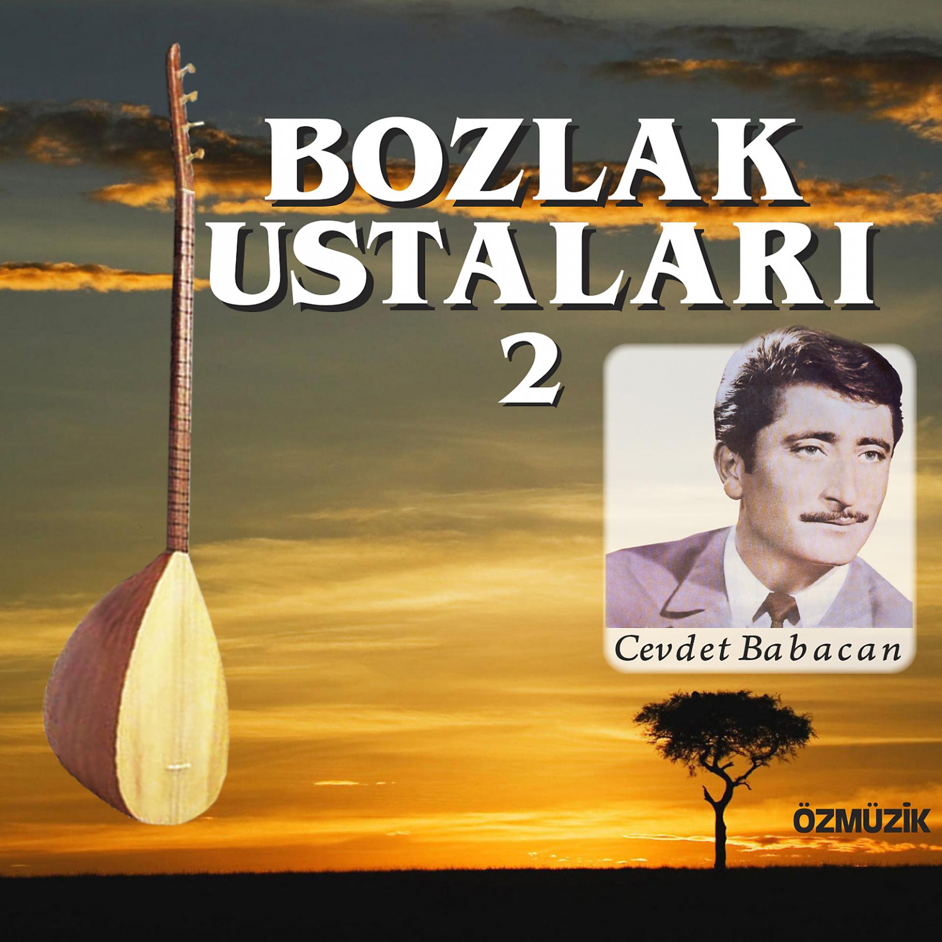Постер альбома Bozlak Ustaları, Vol.2