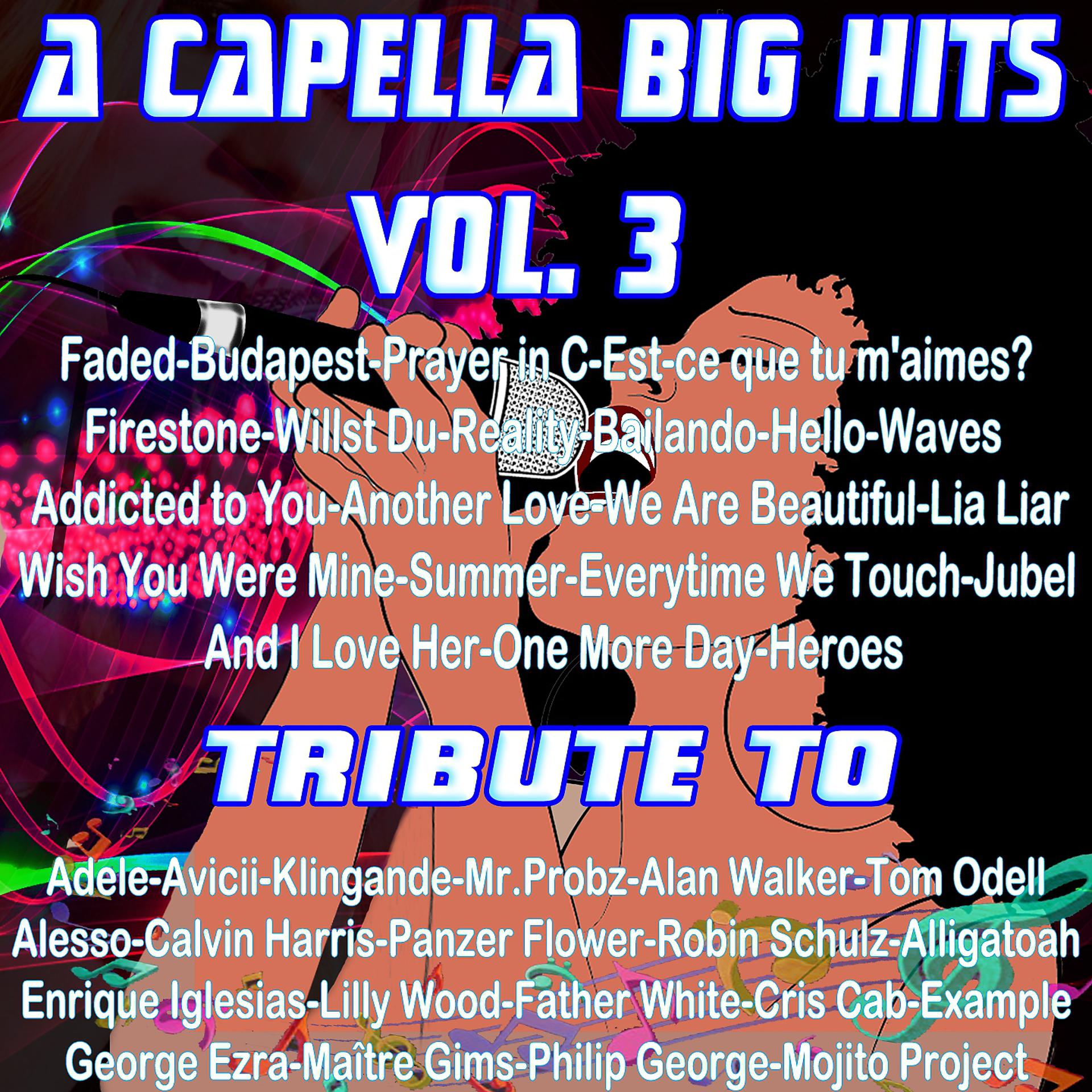 Постер альбома A Capella Big Hits, Vol. 3