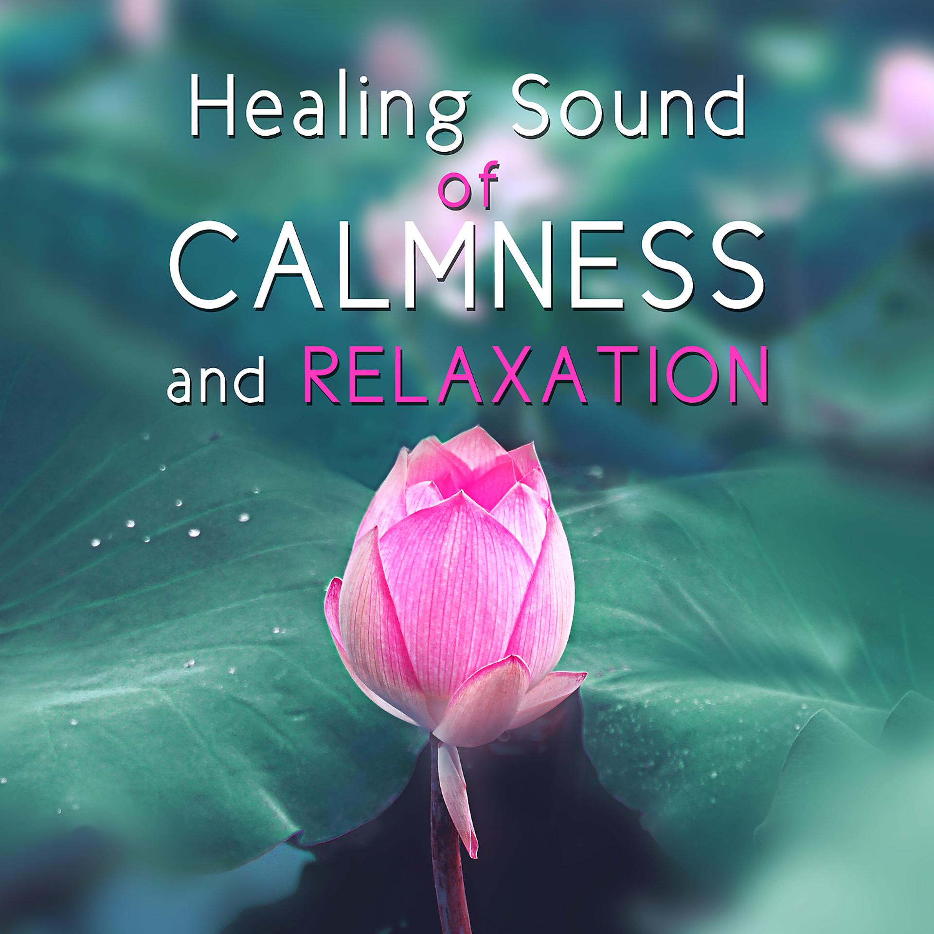 Постер альбома Healing Sound of Calmness and Relaxation: Zen Garden, New Age Music, Deep Sleep, Natural Tracks, Chakra Balancing, Yin Yang, Welness, Meditation, Prayer