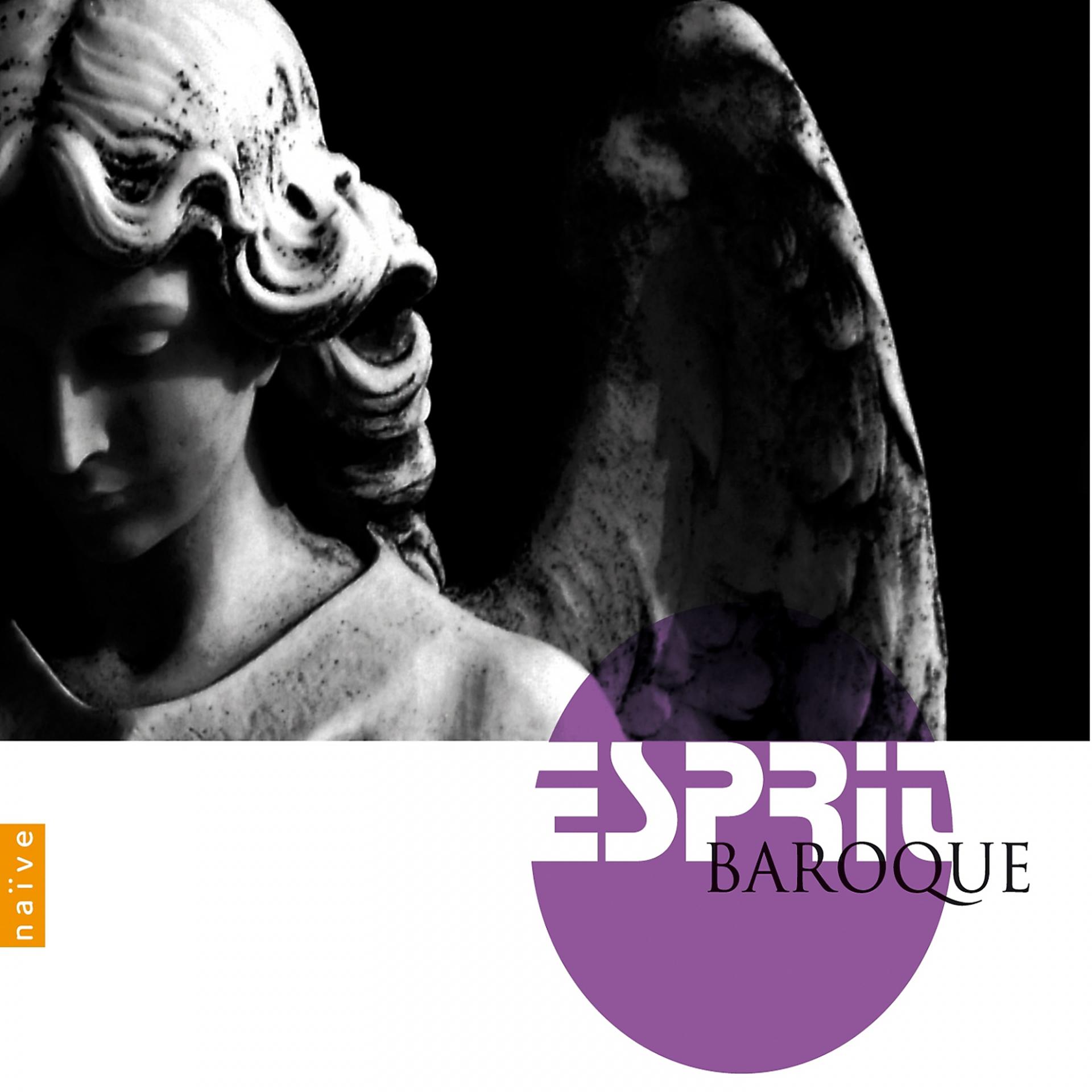 Постер альбома Esprit baroque