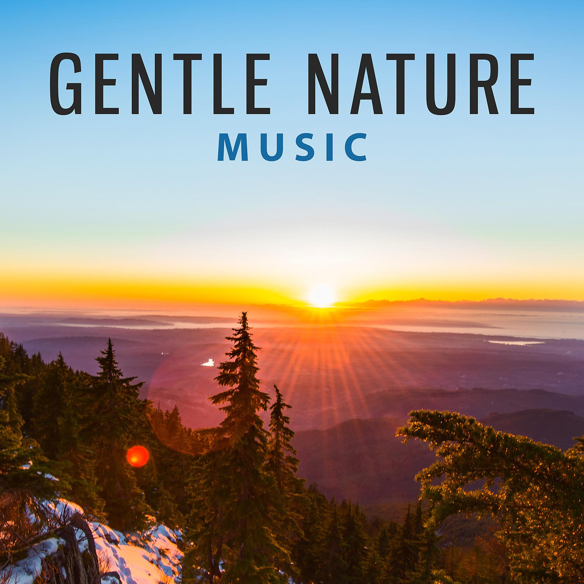 Постер альбома Gentle Nature Music – Perfect Calm, Sounds of Nature for Stress Relief, Inner Peace