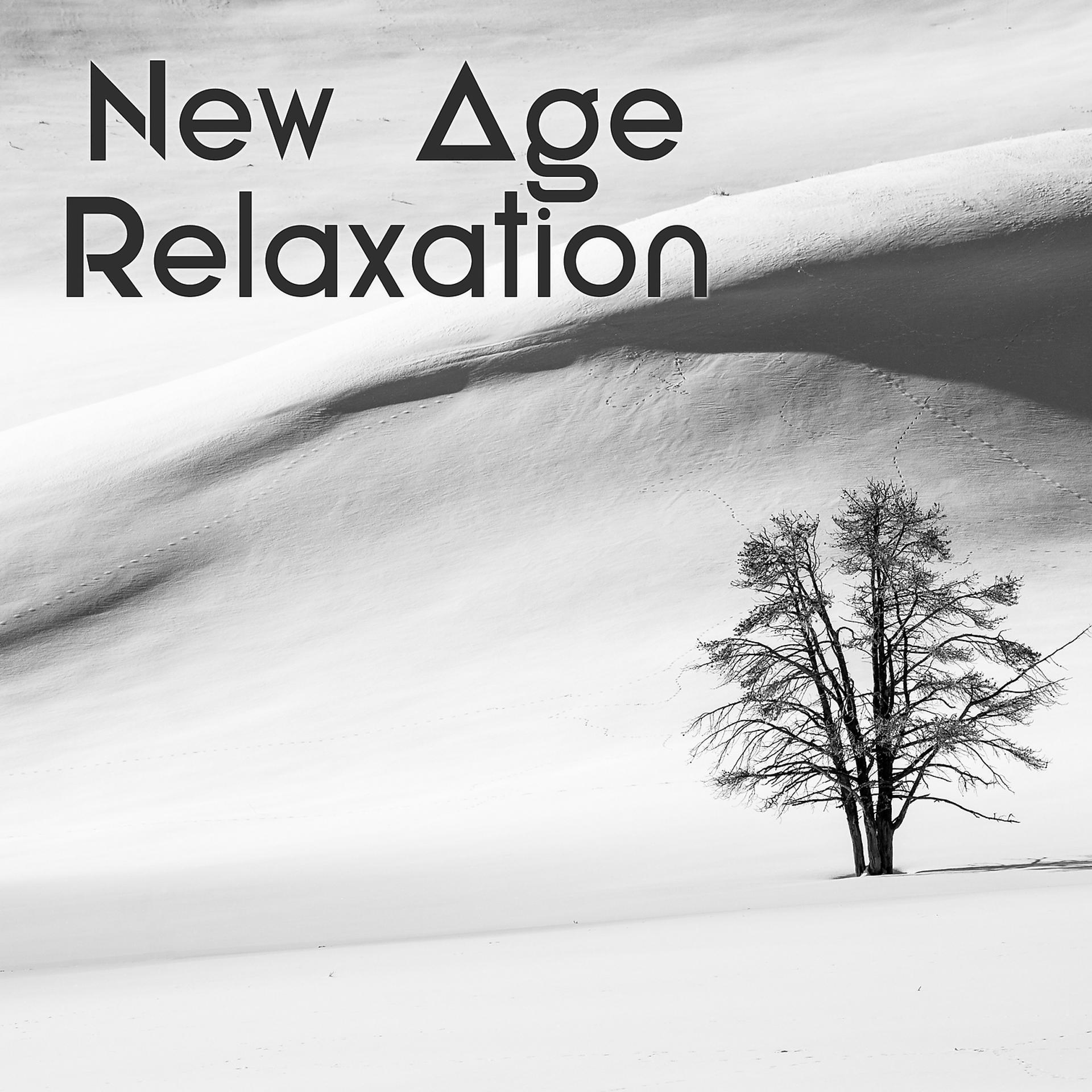 Постер альбома New Age Relaxation – Relaxing and Calming Sounds, Instrumental Music for Stress Relief and Rest
