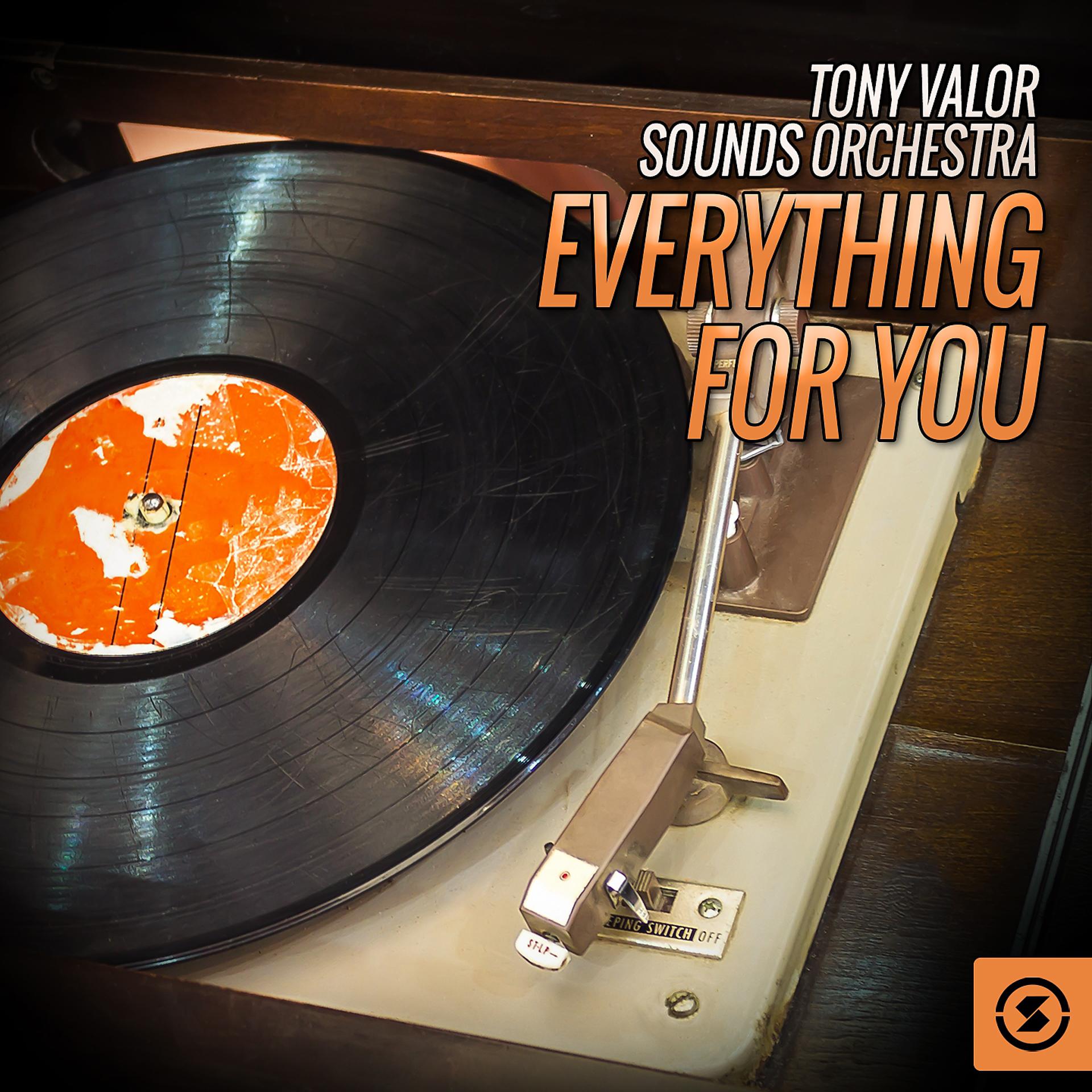 Постер альбома Tony Valor Sounds Orchestra, Everything For You