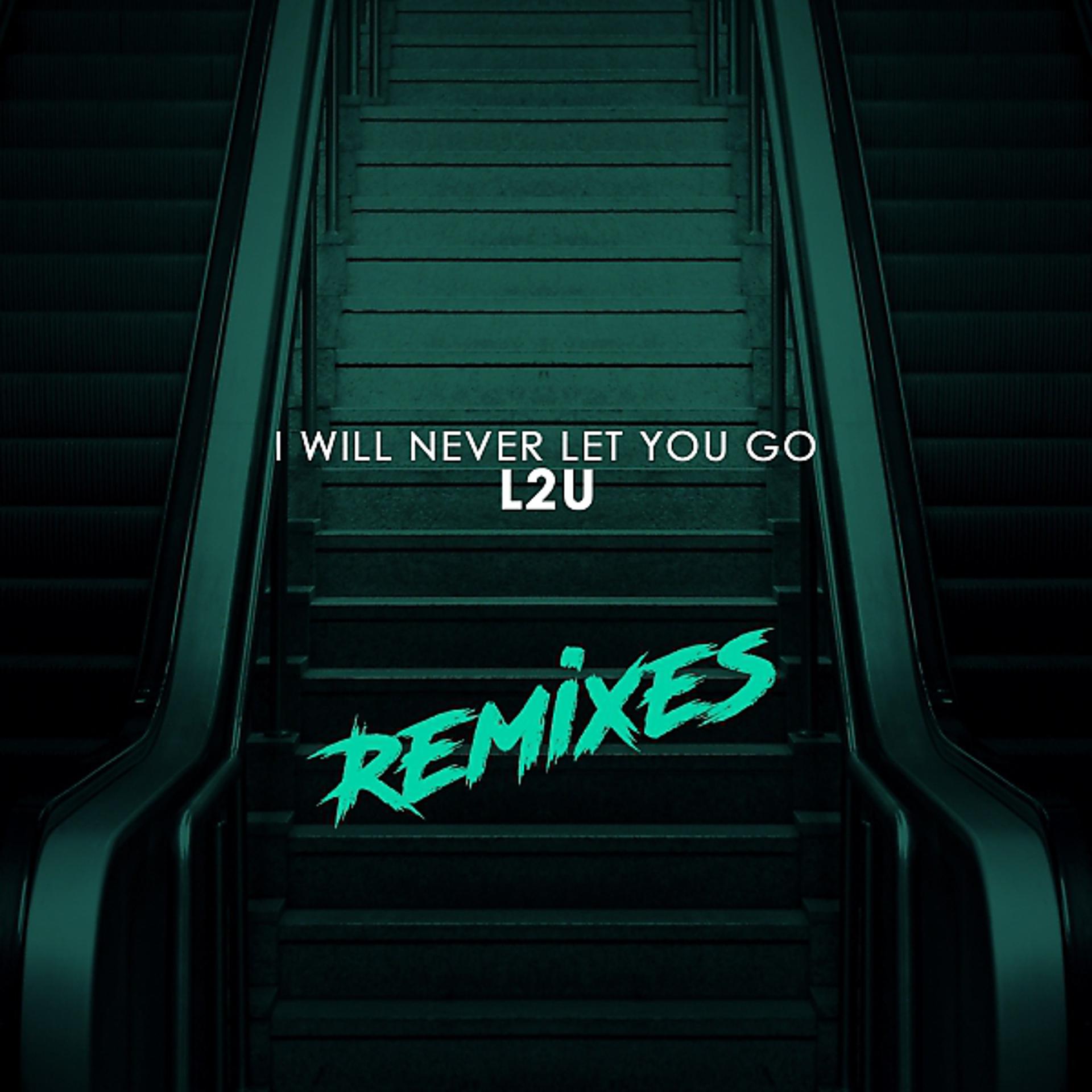 Постер альбома I Will Never Let You Go (Remixes)