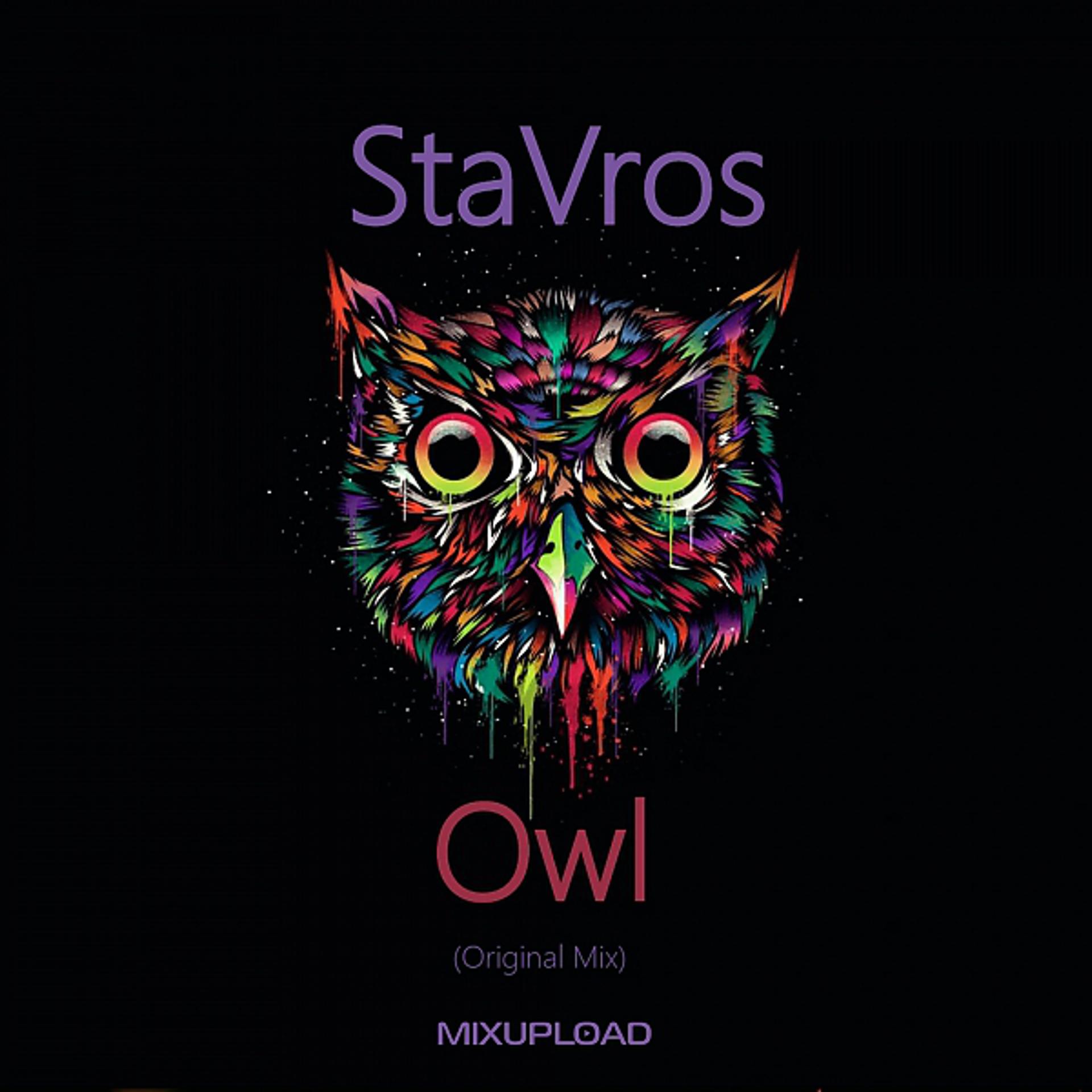 Постер альбома Owl