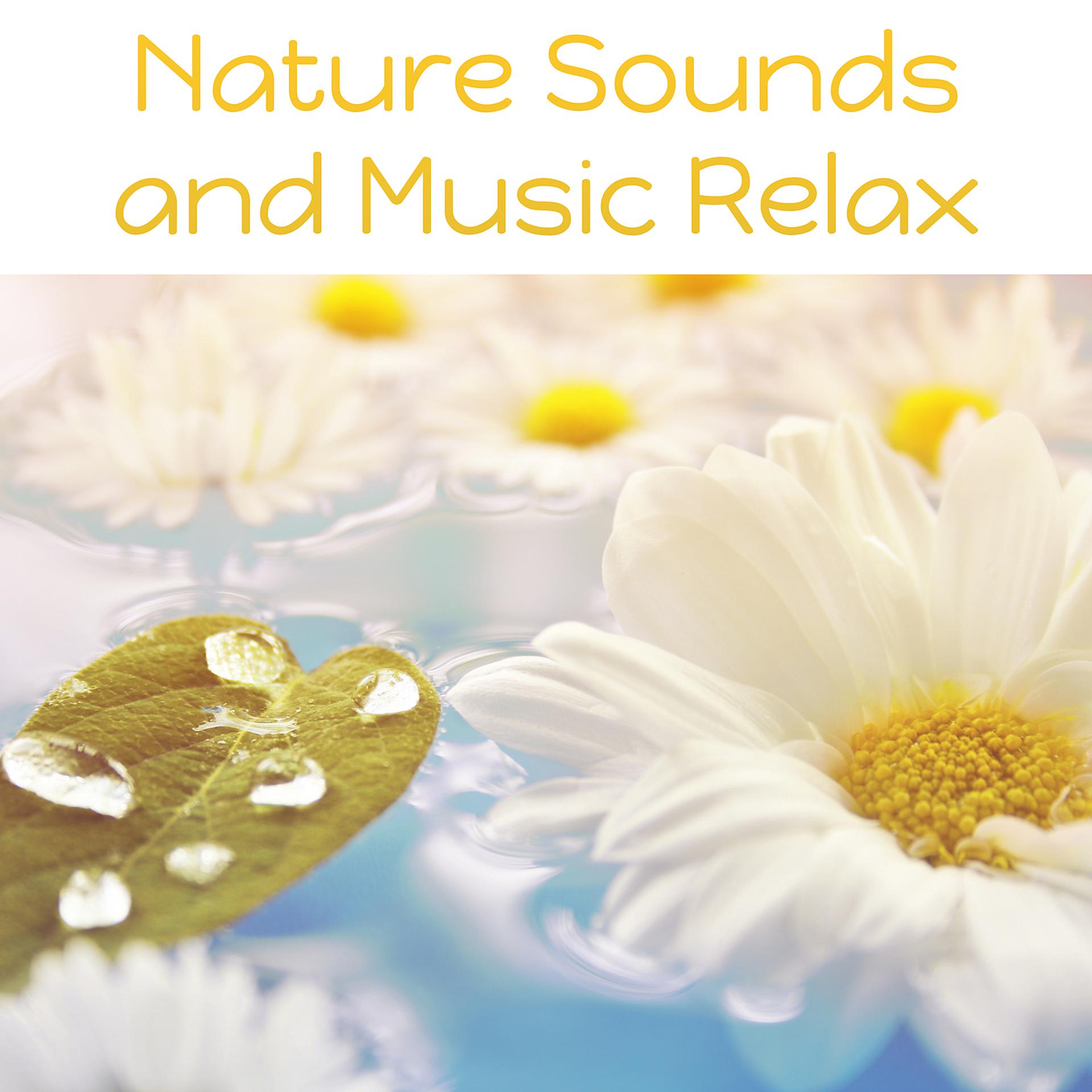Постер альбома Nature Sounds and Music Relax – Natural Sounds for Spa, Massage Therapy, Ambient Sounds, Sounds of Nature
