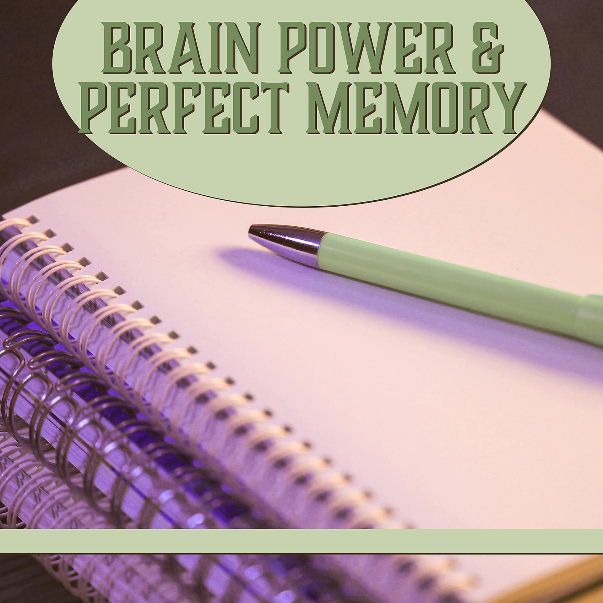Постер альбома Brain Power & Perfect Memory – Classical Songs for Learning, Creative Music, Calmer Mind
