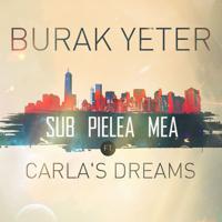 Постер альбома Sub Pielea Mea (feat. Carla's Dreams)
