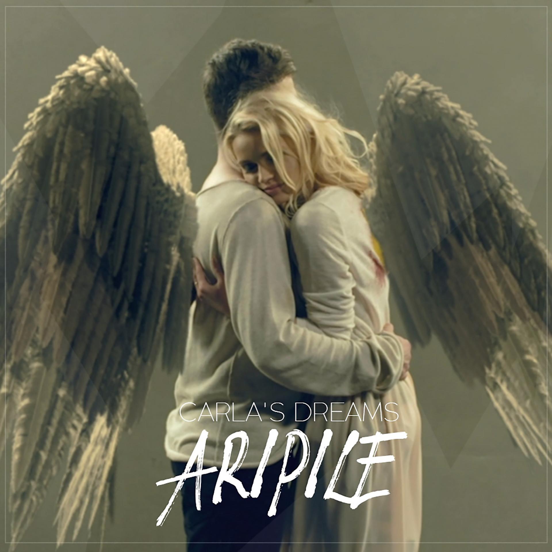 Постер альбома Aripile