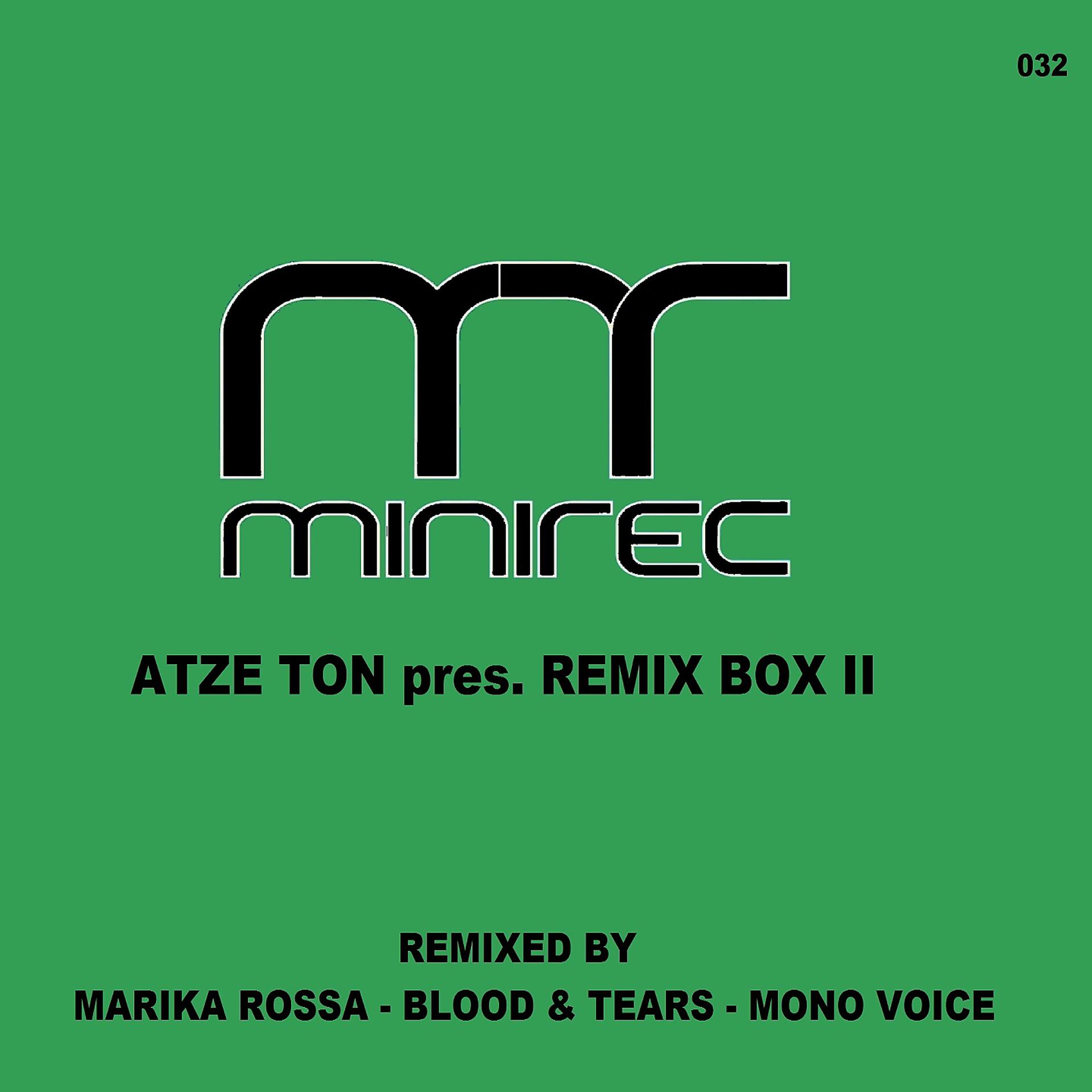 Постер альбома Atze Ton Pres. Remix Box II