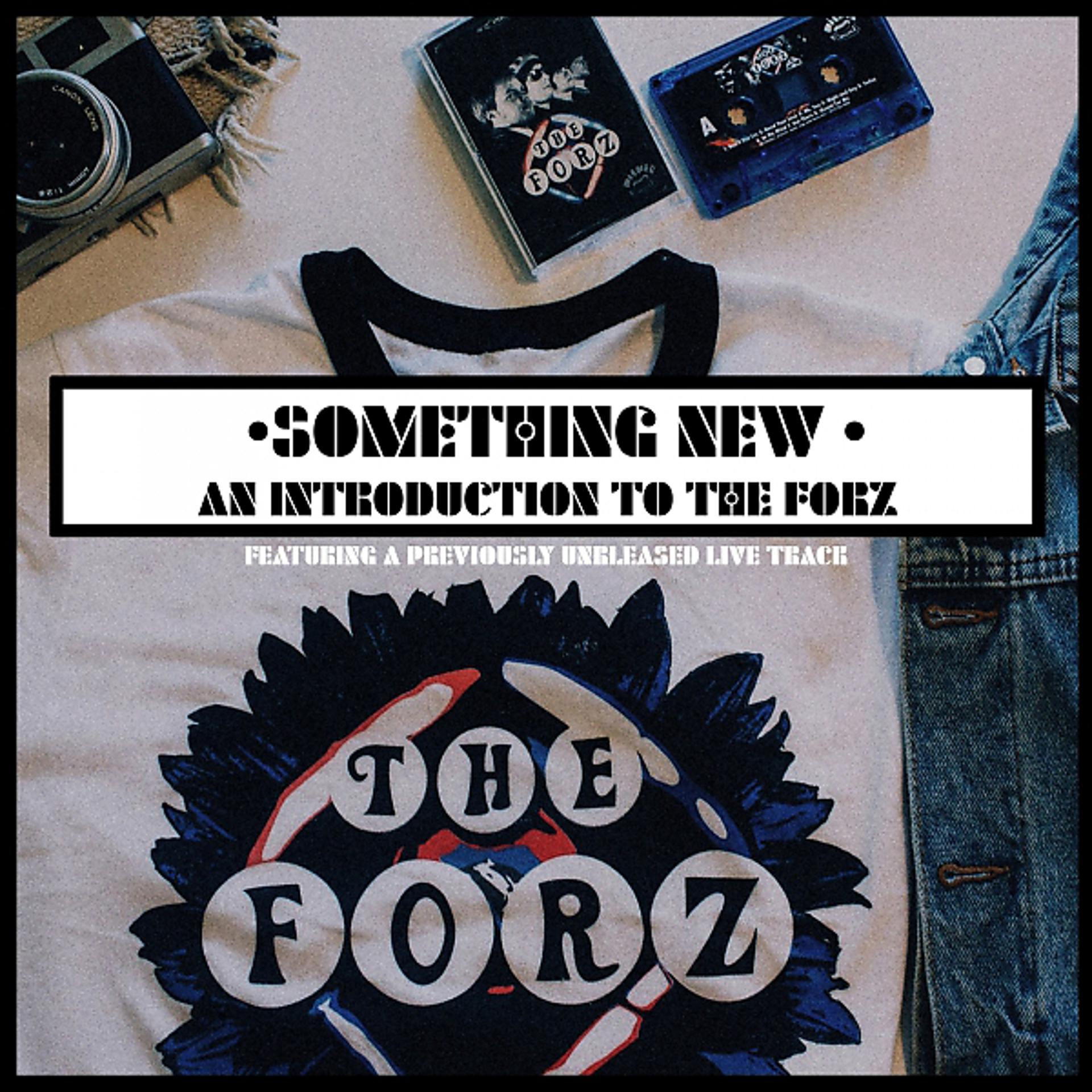 Постер альбома Something New: An Introduction To The FORZ