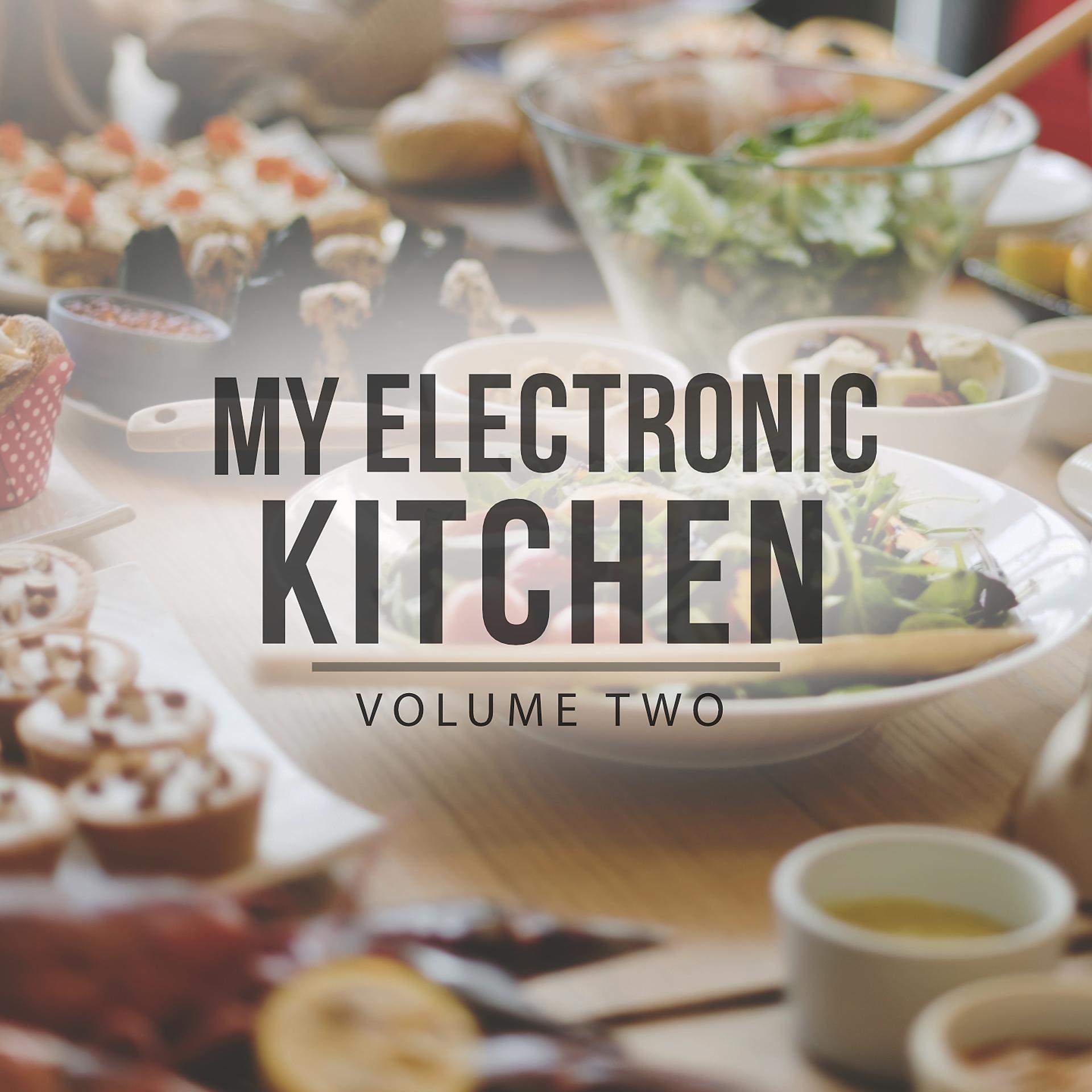 Постер альбома My Electronic Kitchen, Vol. 2