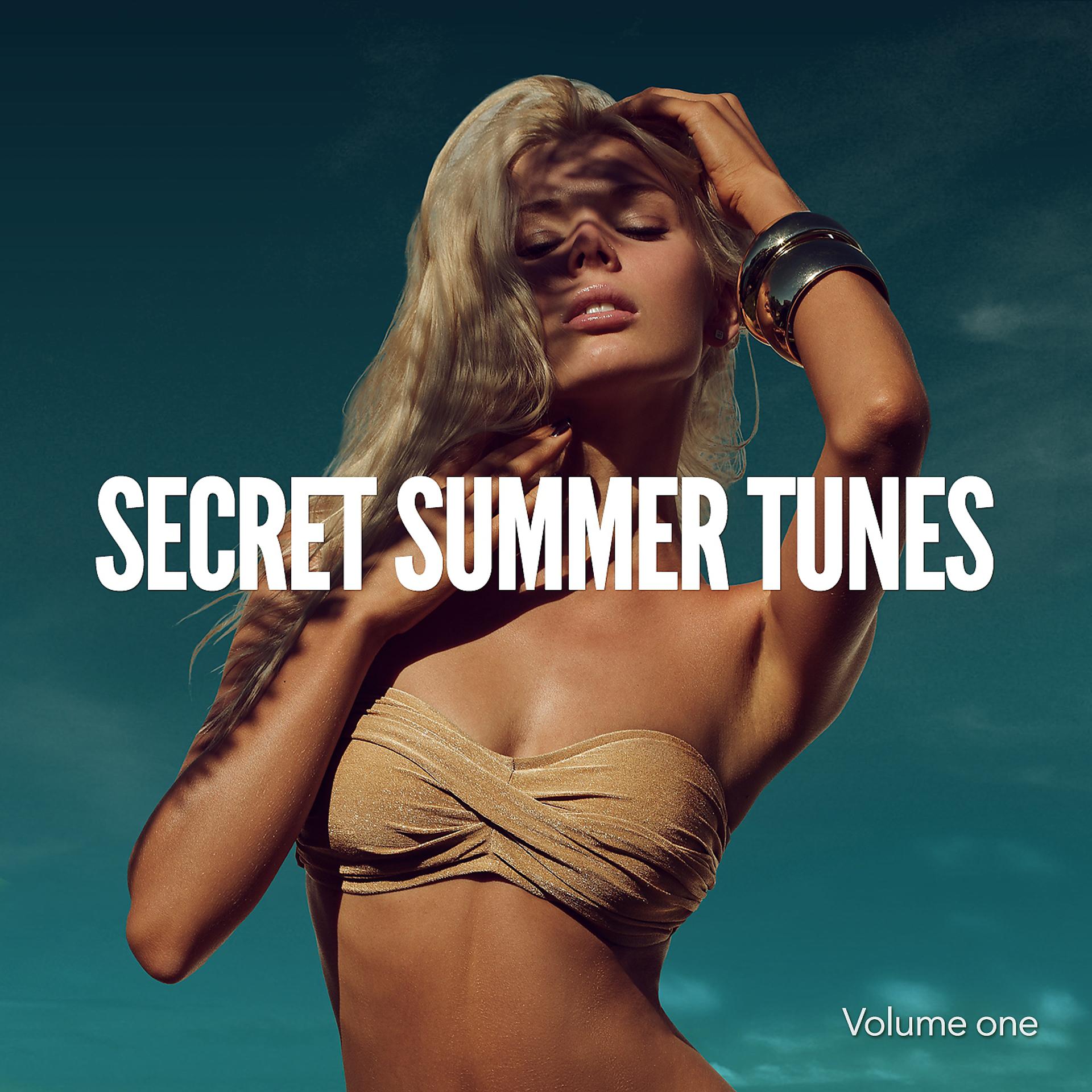 Постер альбома Secret Summer Tunes, Vol. 1