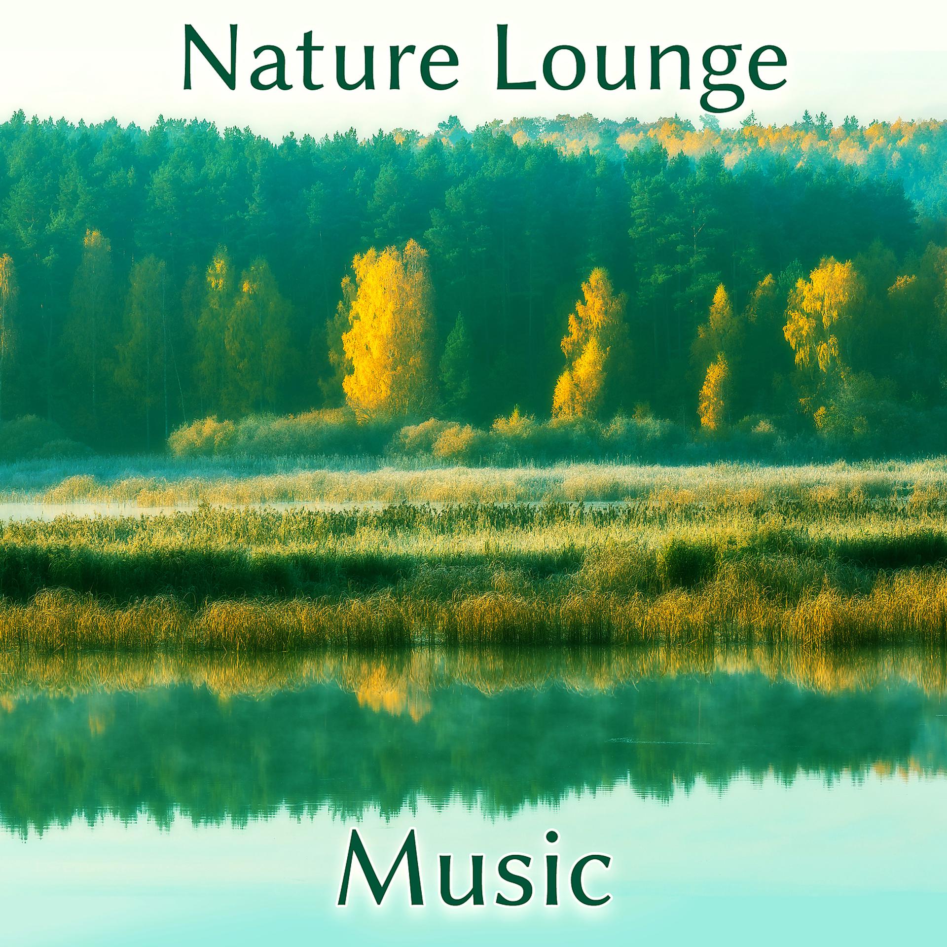 Постер альбома Nature Lounge Music - Serenity Sounds of Nature, Calming Ocean, Soothing Sounds