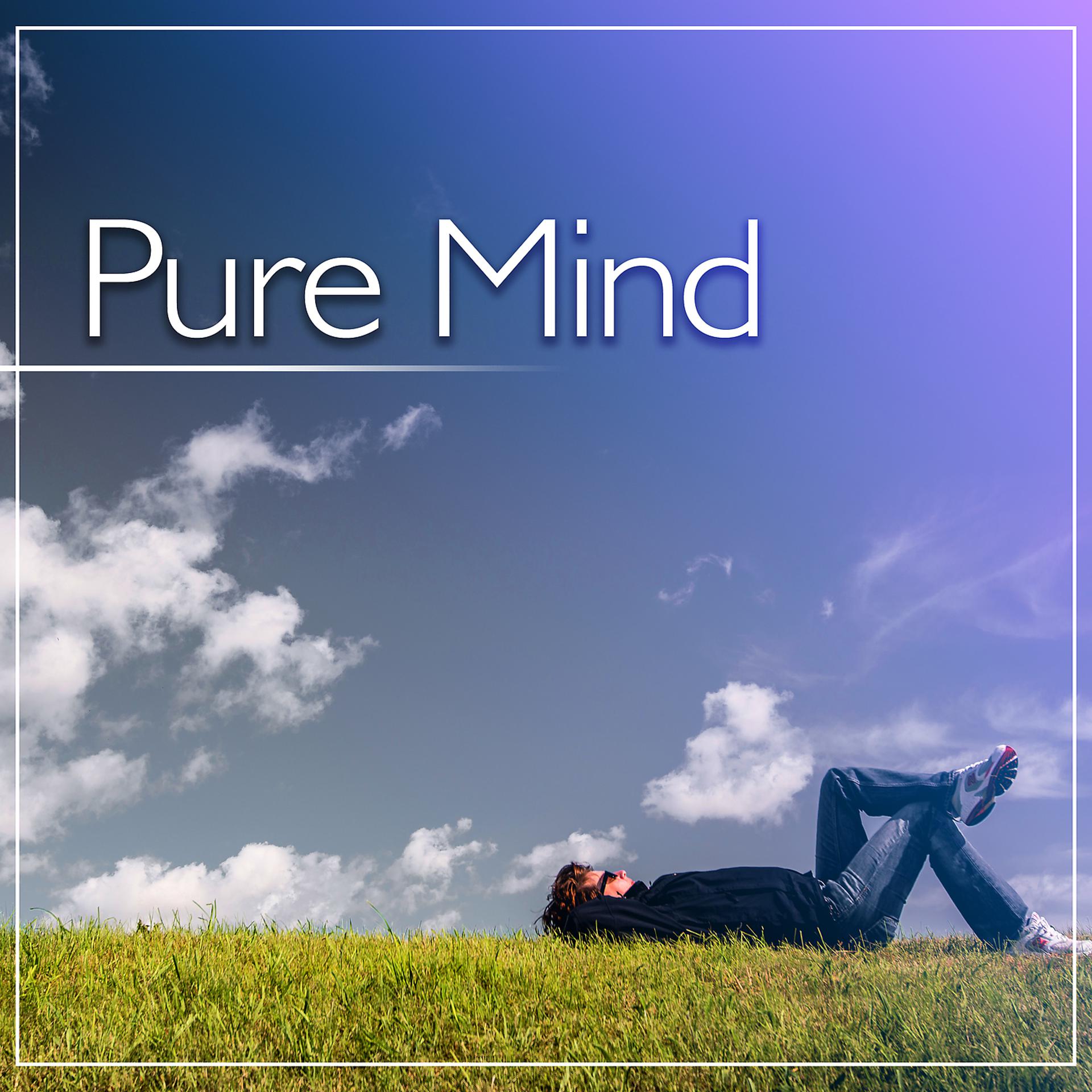 Постер альбома Pure Mind - State of Mind, Cool Relax, Rest after Work, Interesting Sounds of Nature