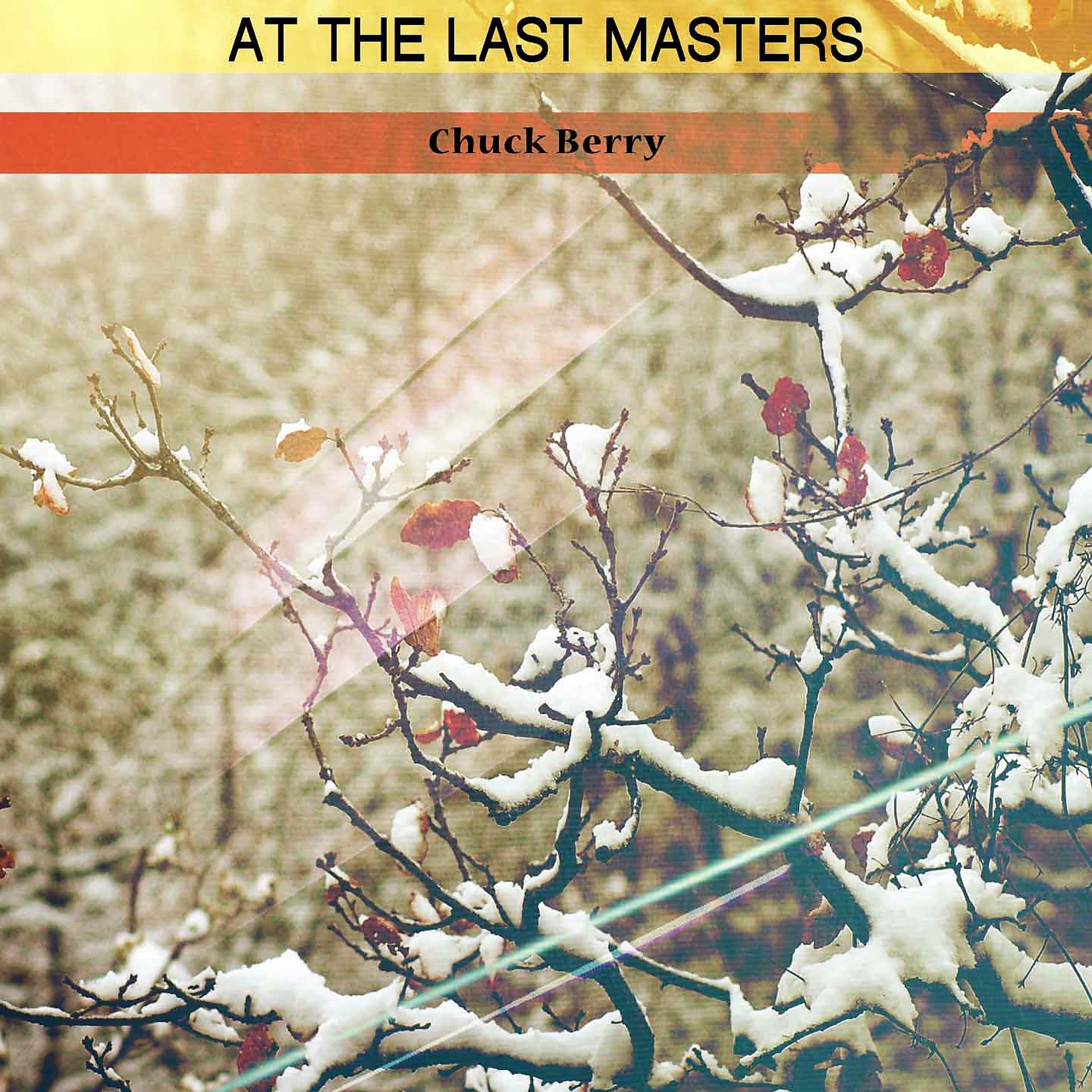 Постер альбома At the Last Masters