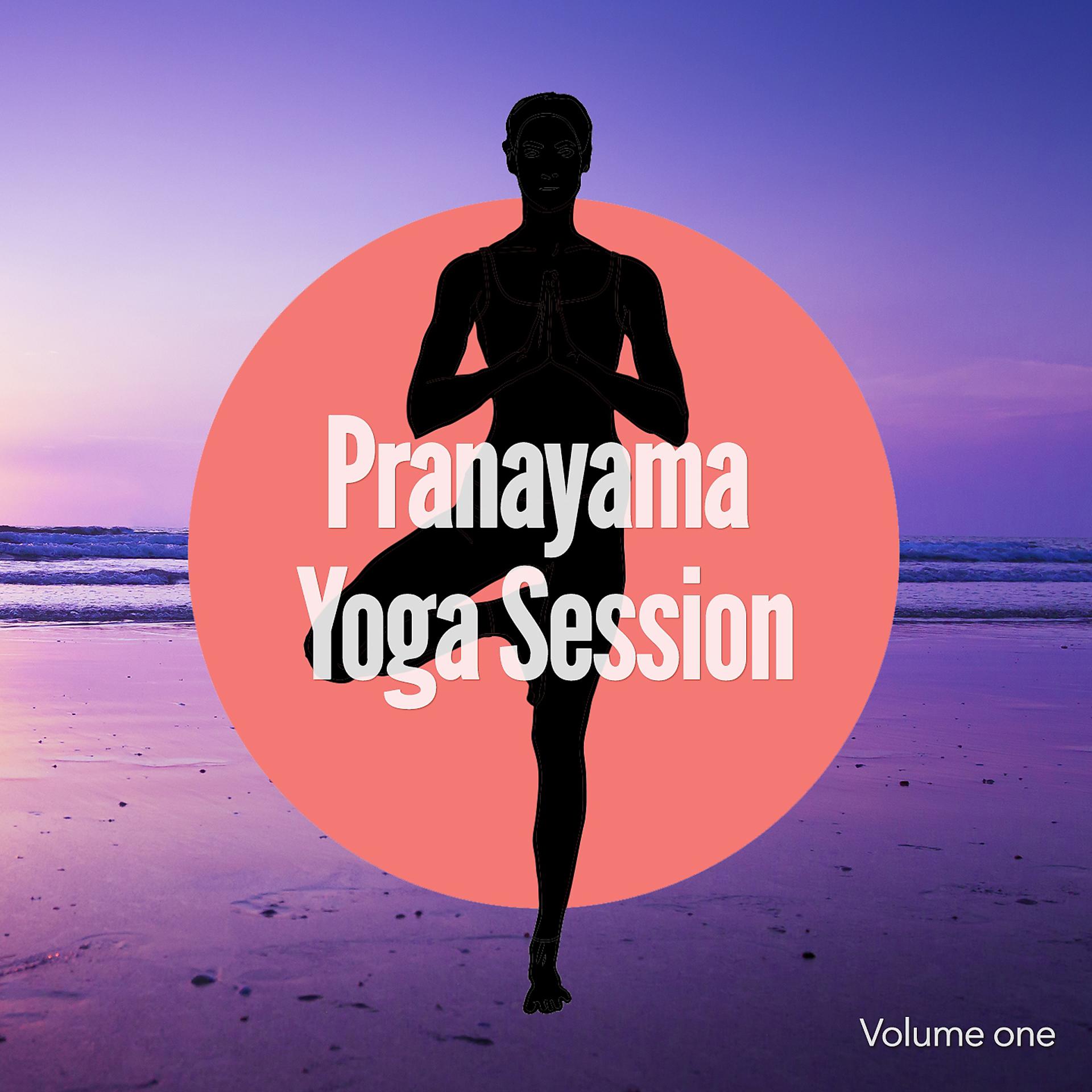 Постер альбома Pranayama Yoga Session, Vol. 1