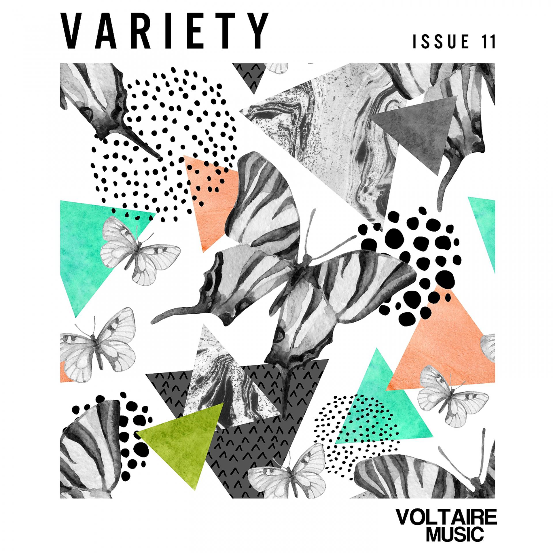 Постер альбома Voltaire Music pres. Variety Issue 11