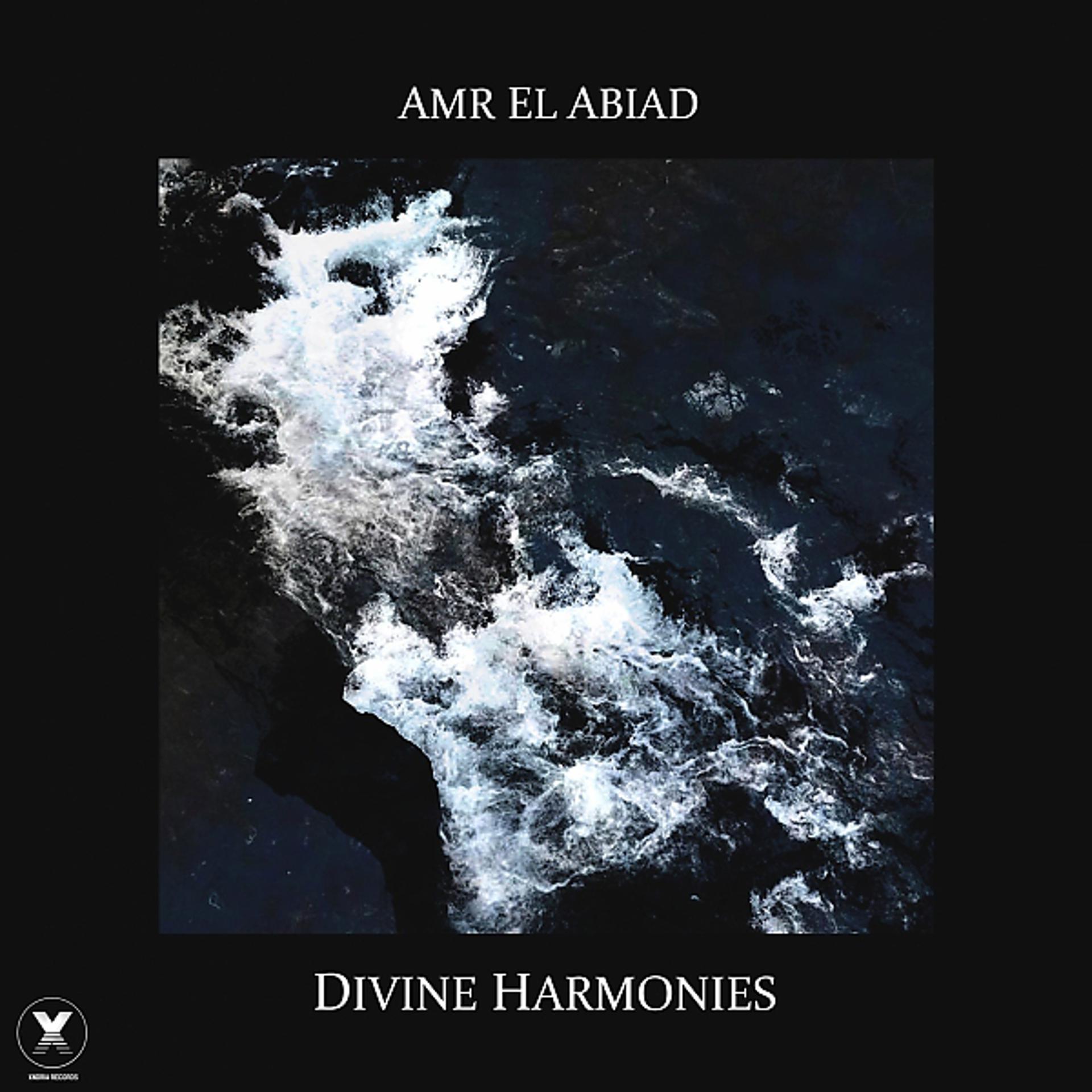 Постер альбома Divine Harmonies