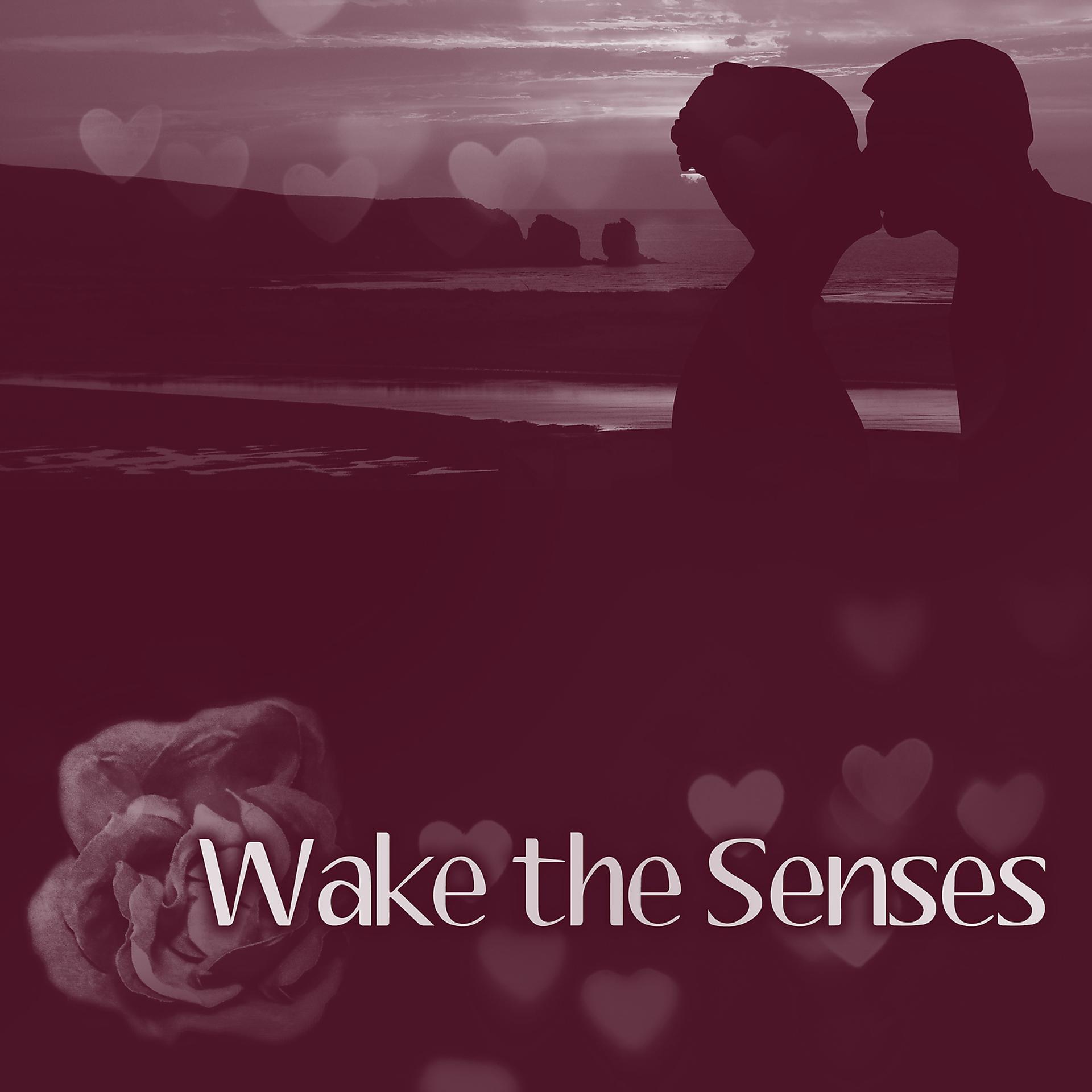 Постер альбома Wake the Senses - Highest Performance, Wonderful Feeling of Sensuality, Gentle Kisses, Pleasant Touch, Passionate Eyes, Game Feelings, Big Excitement