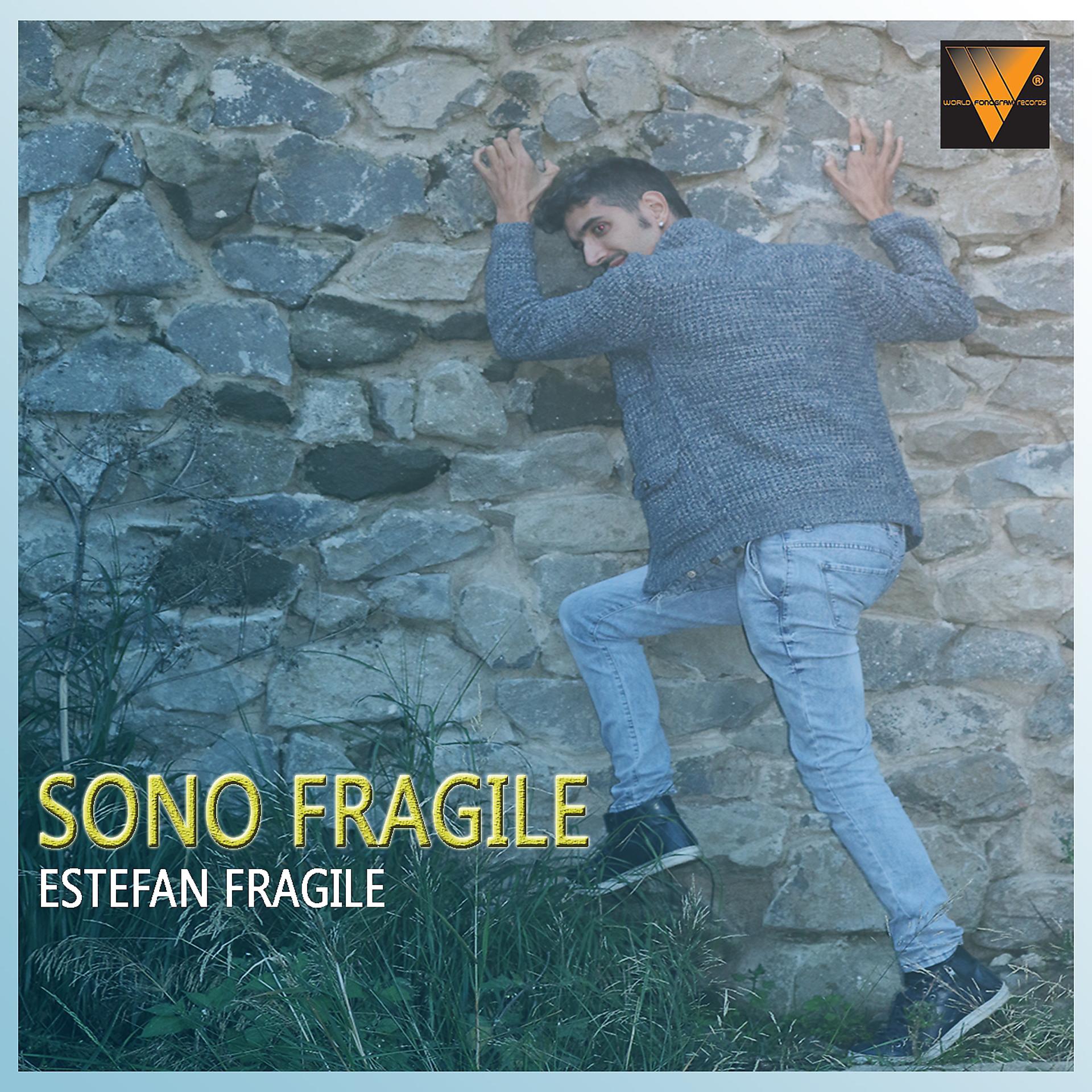 Постер альбома Sono fragile