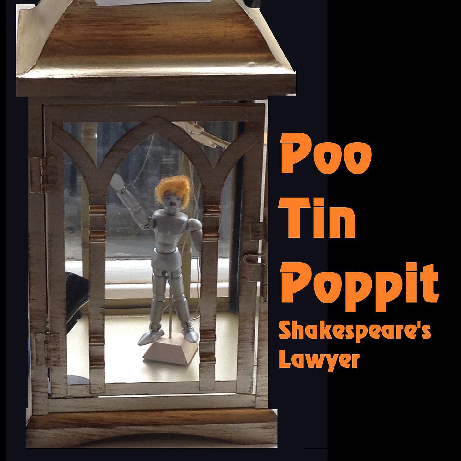 Постер альбома Poo Tin Poppit