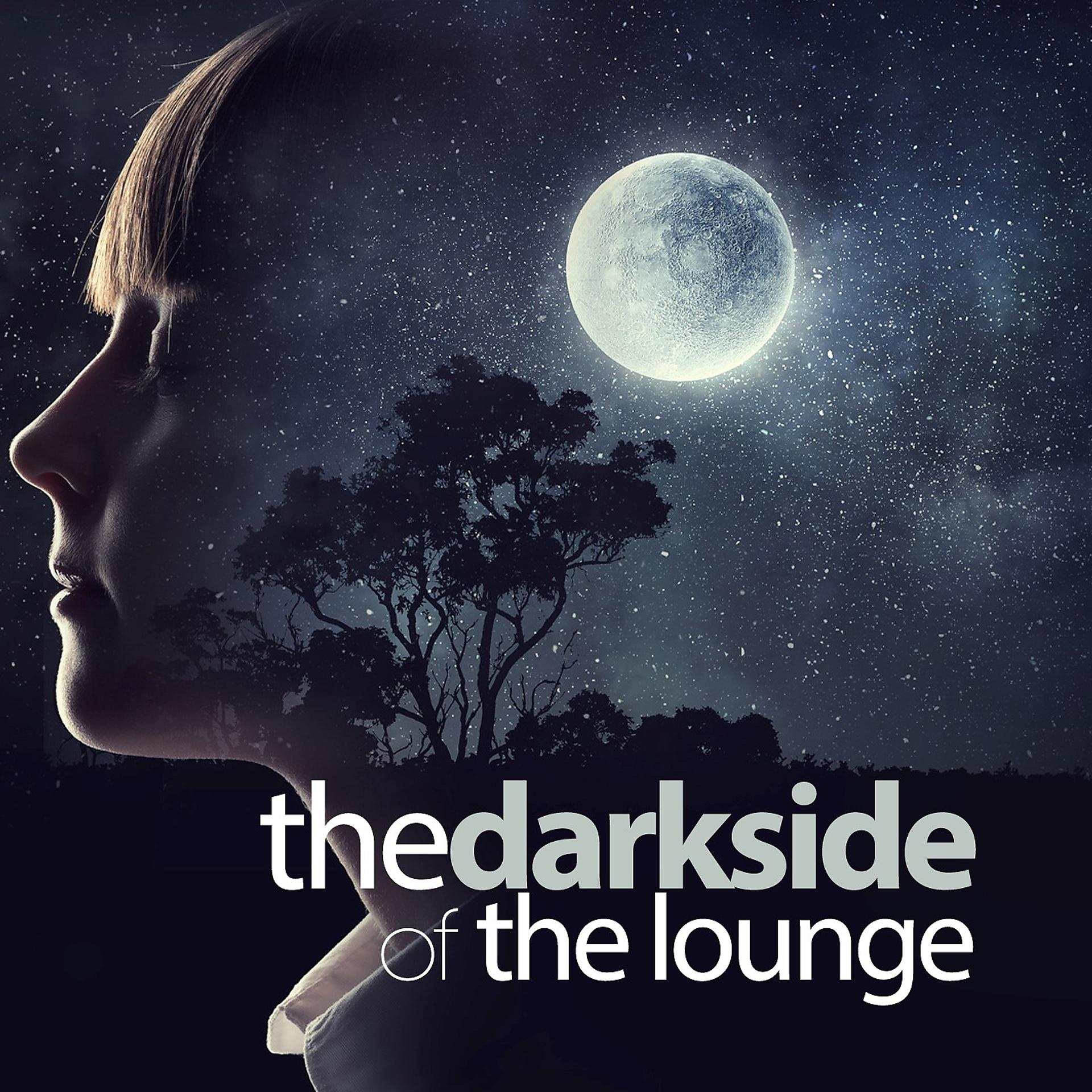 Постер альбома The Dark Side of the Lounge