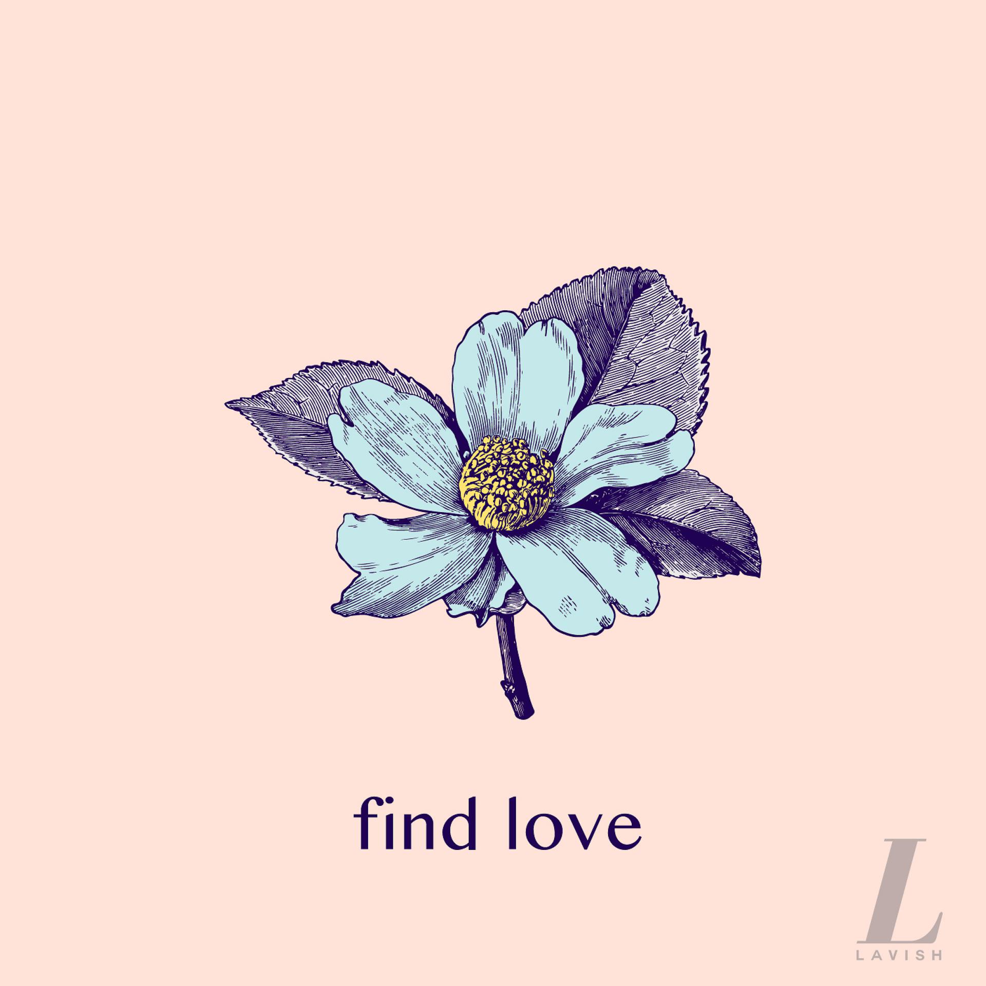 Постер альбома Find Love (feat. Anqui)