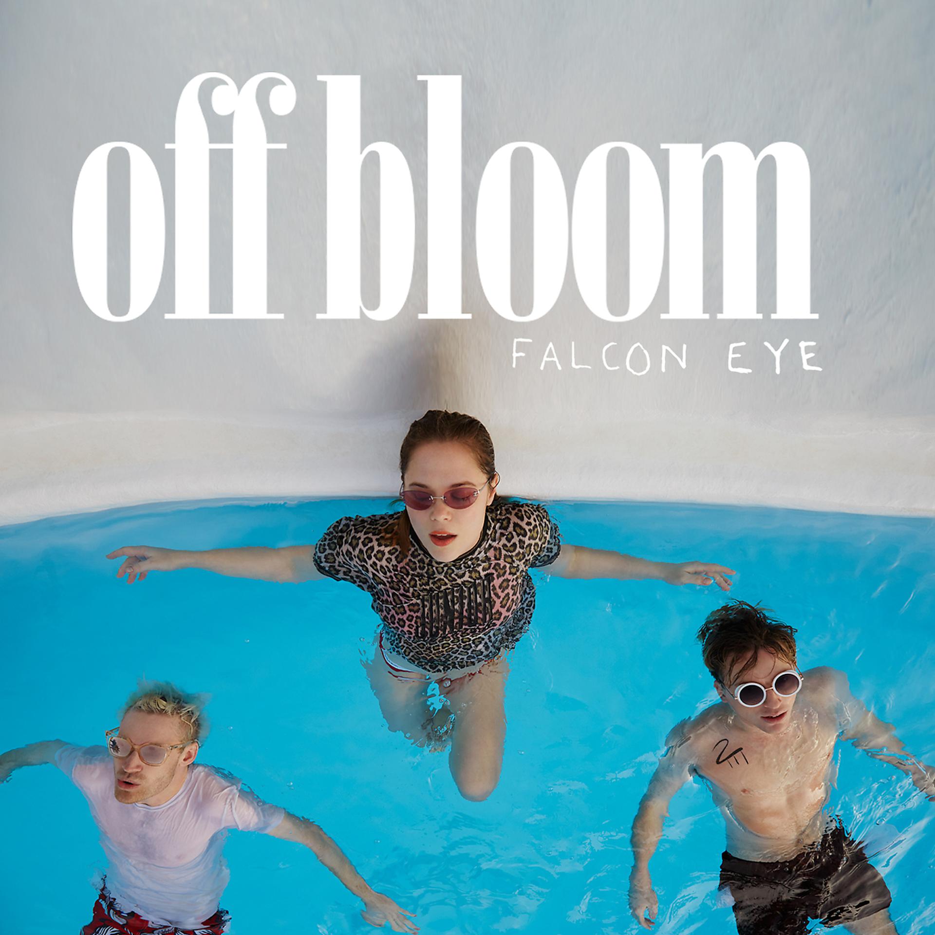 Постер альбома Falcon Eye