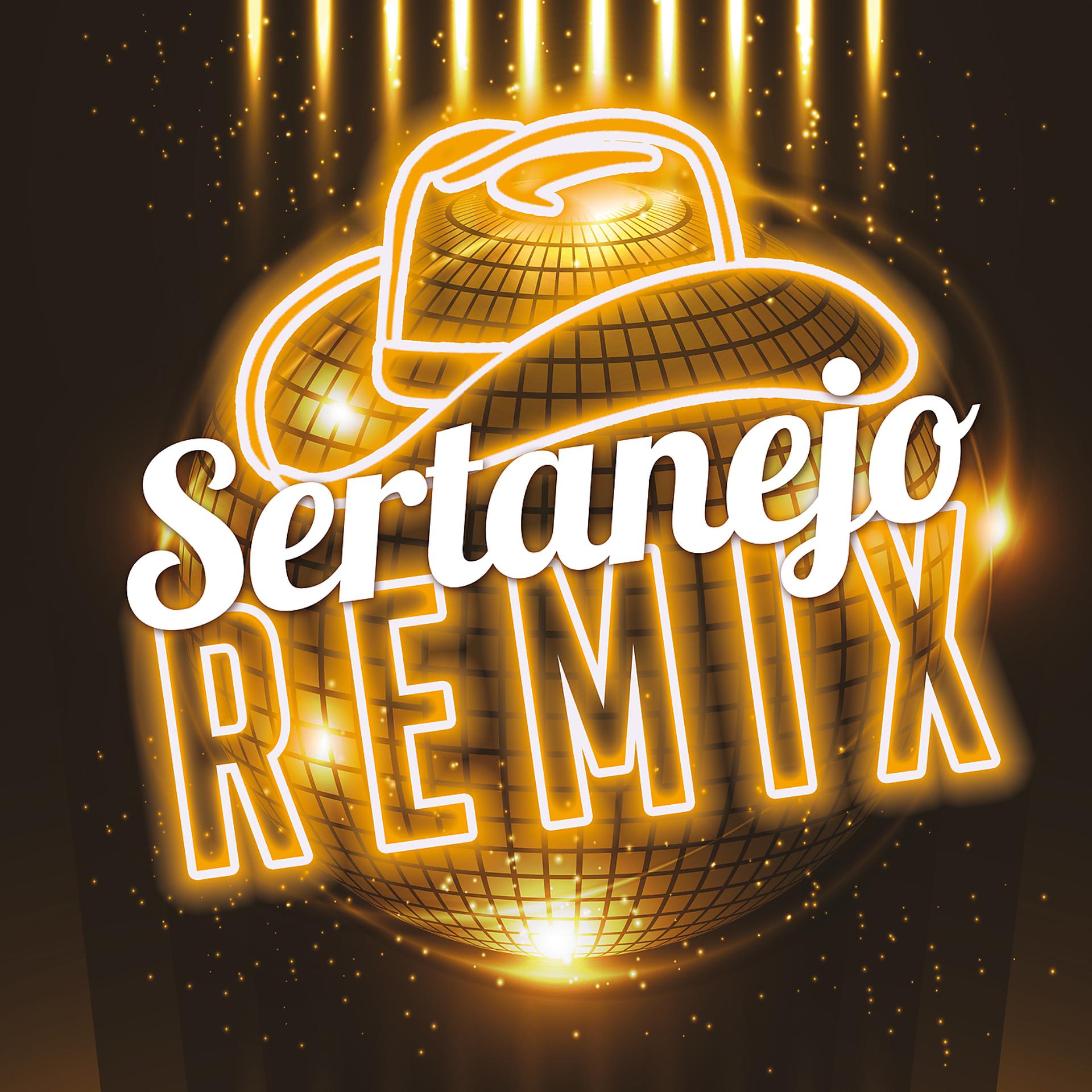 Постер альбома Sertanejo Remix