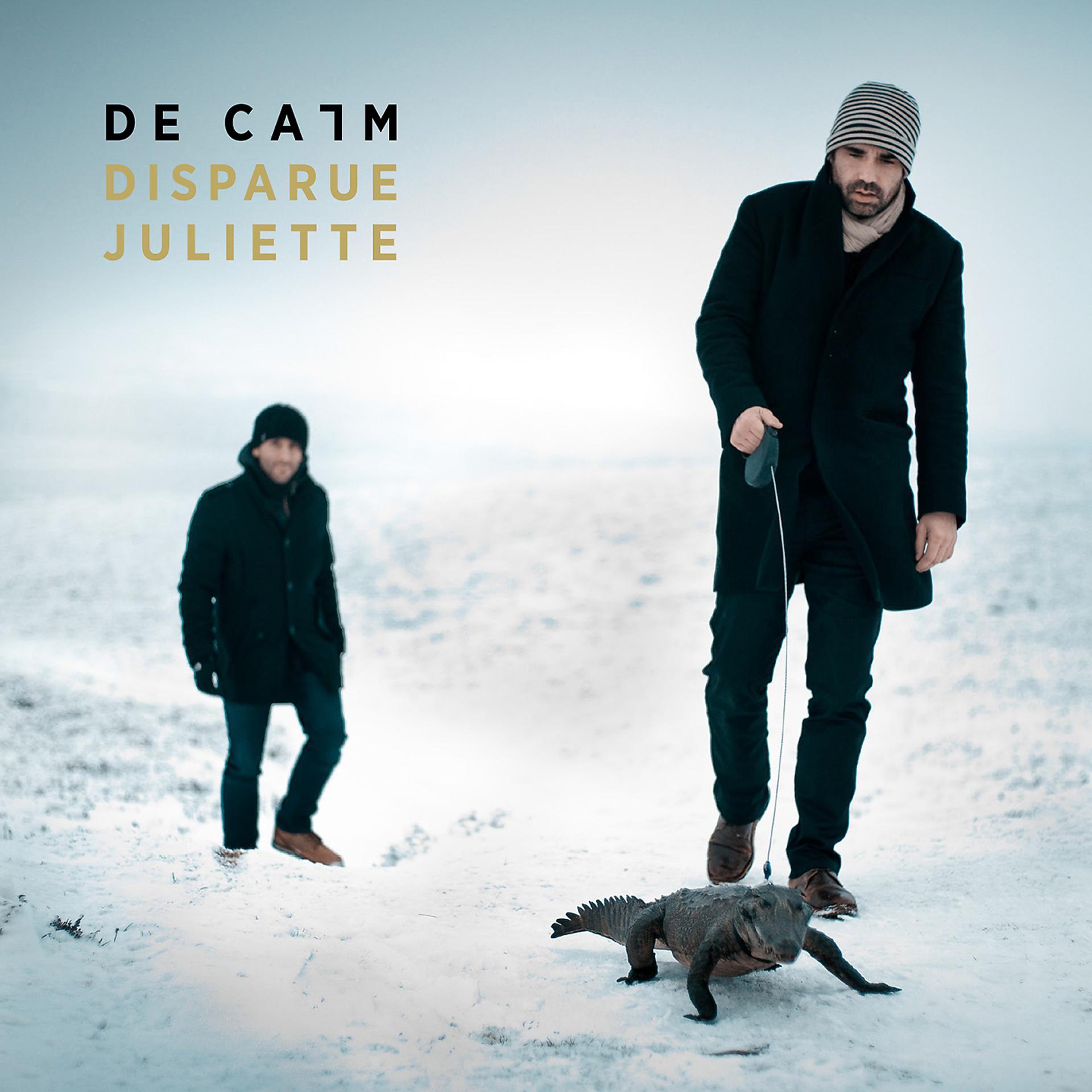 Постер альбома Disparue Juliette