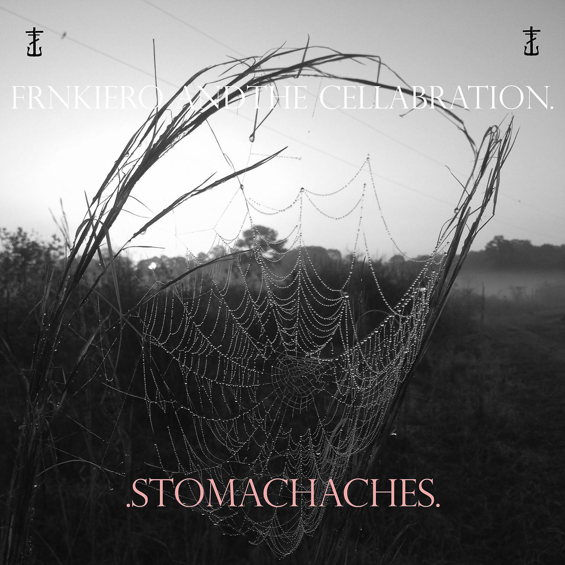 Постер альбома Stomachaches