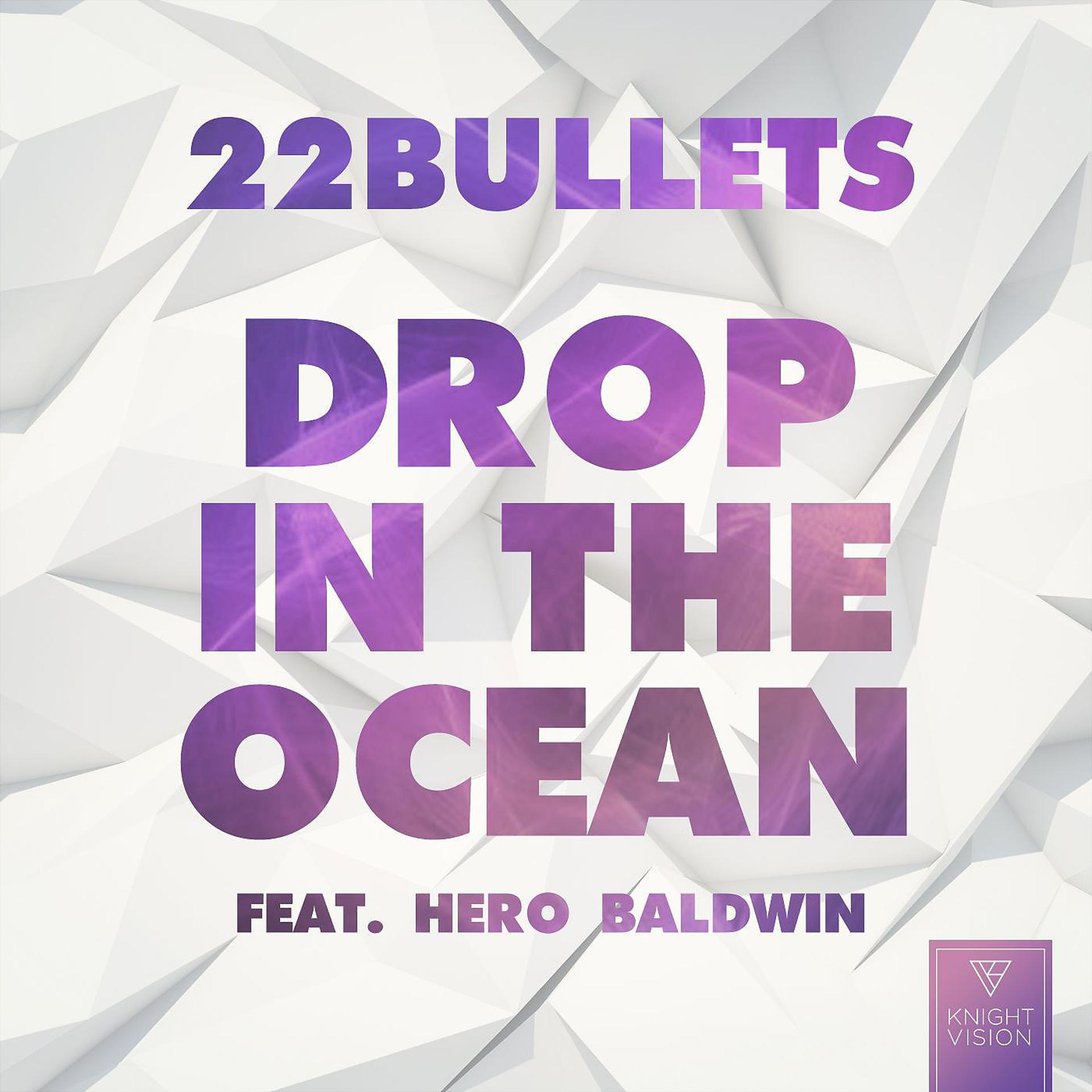 Постер альбома Drop In The Ocean (feat. Hero Baldwin)