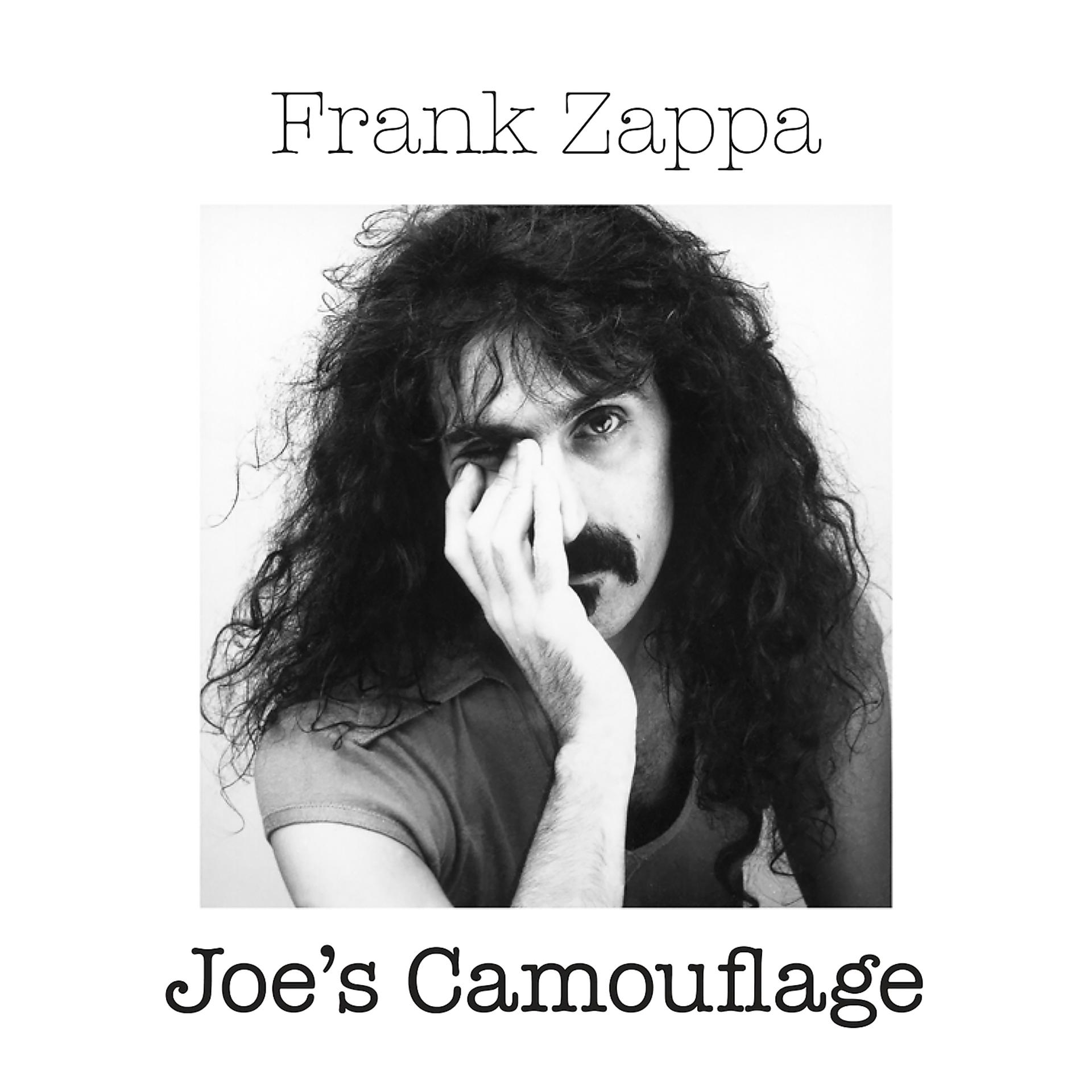 Постер альбома Joe's Camouflage