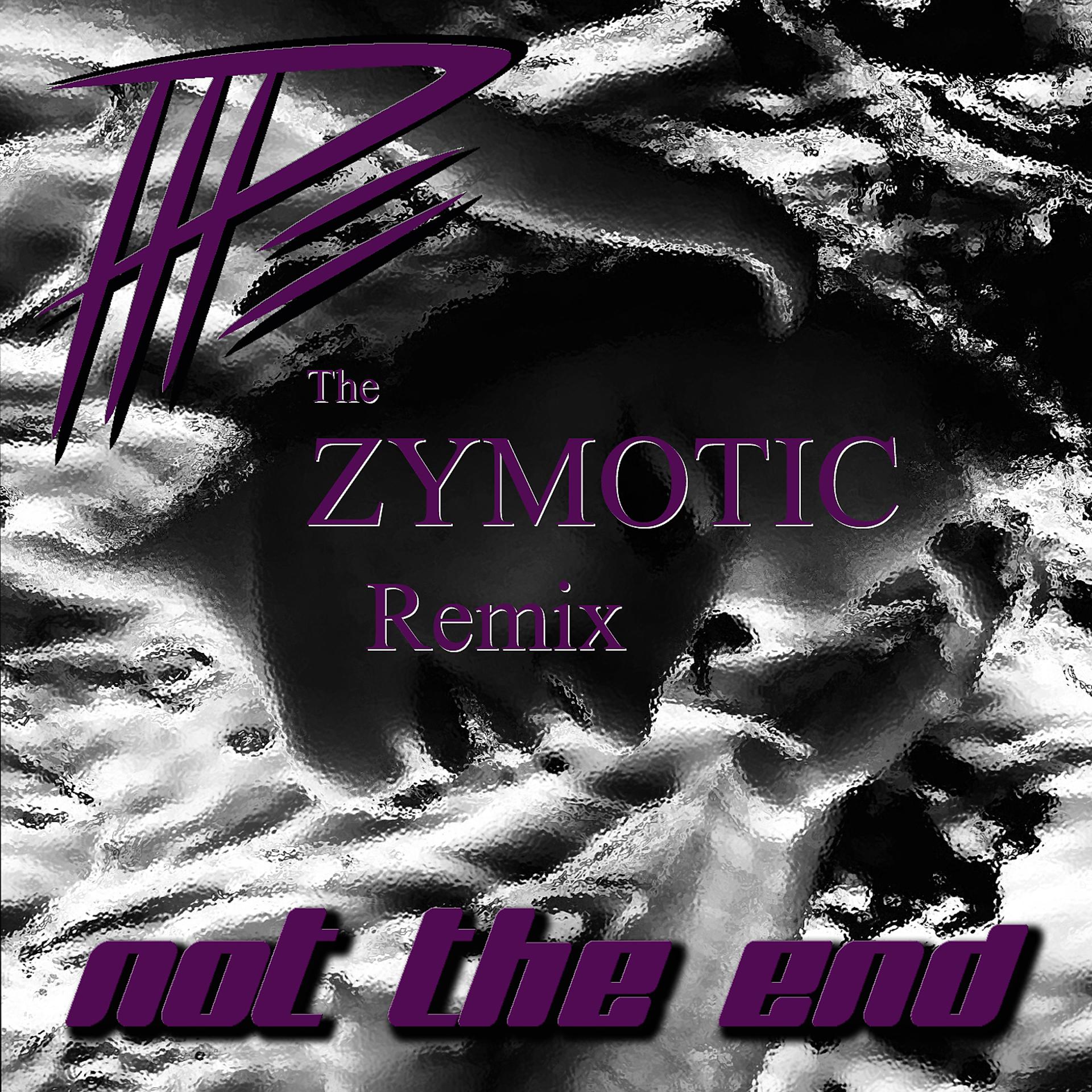 Постер альбома Not the End (Zymotic Remix) [Short Version]