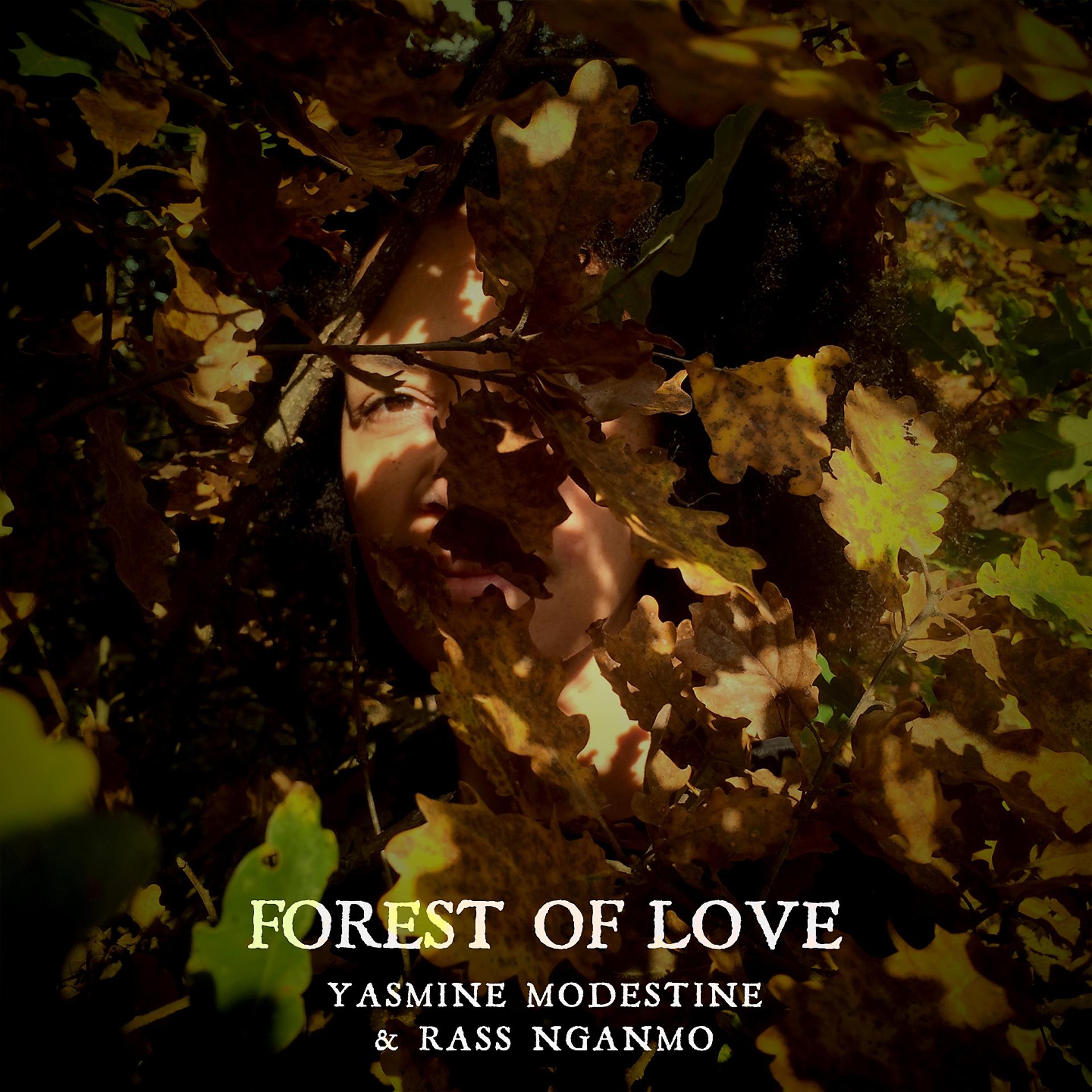 Постер альбома Forest of Love
