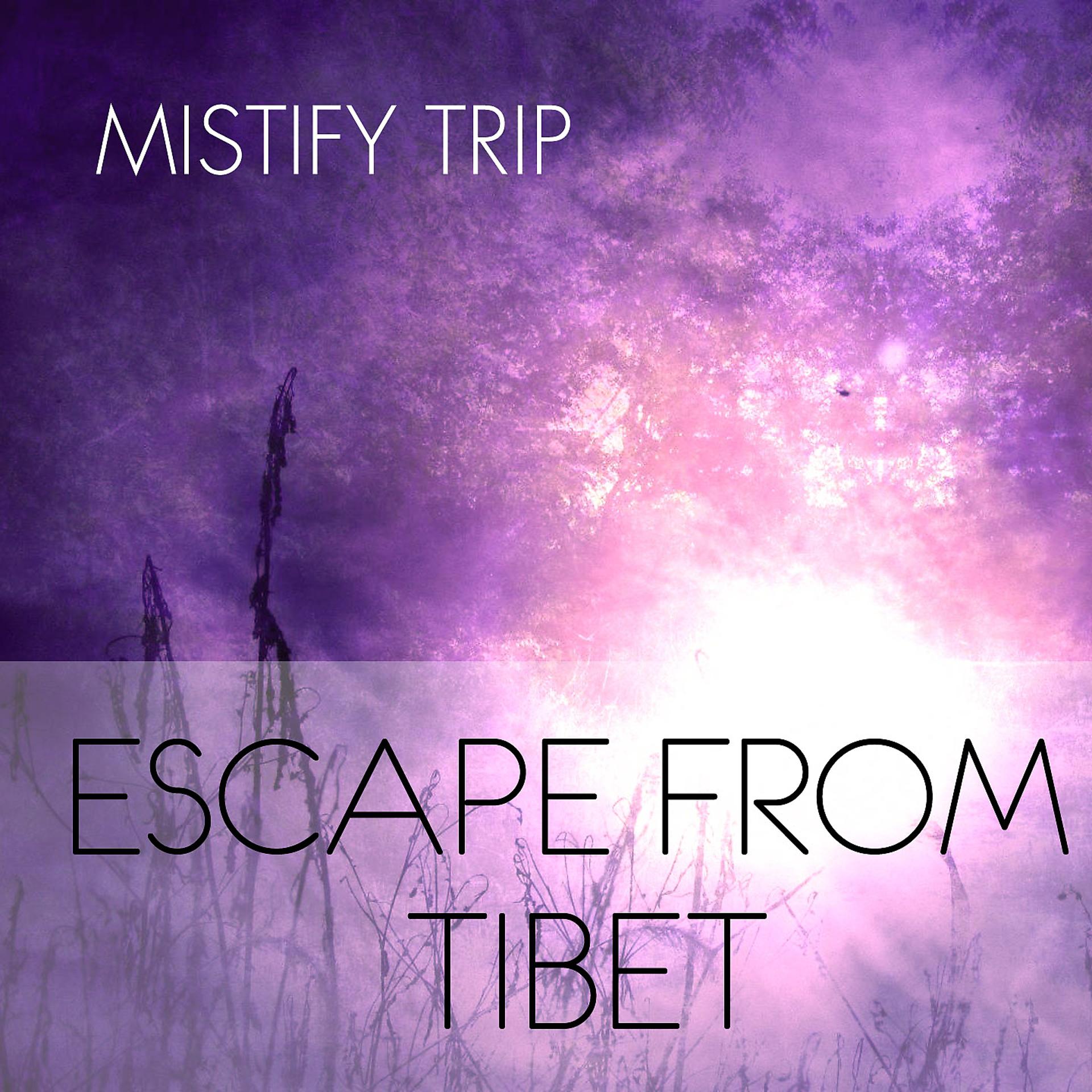 Постер альбома Escape from Tibet