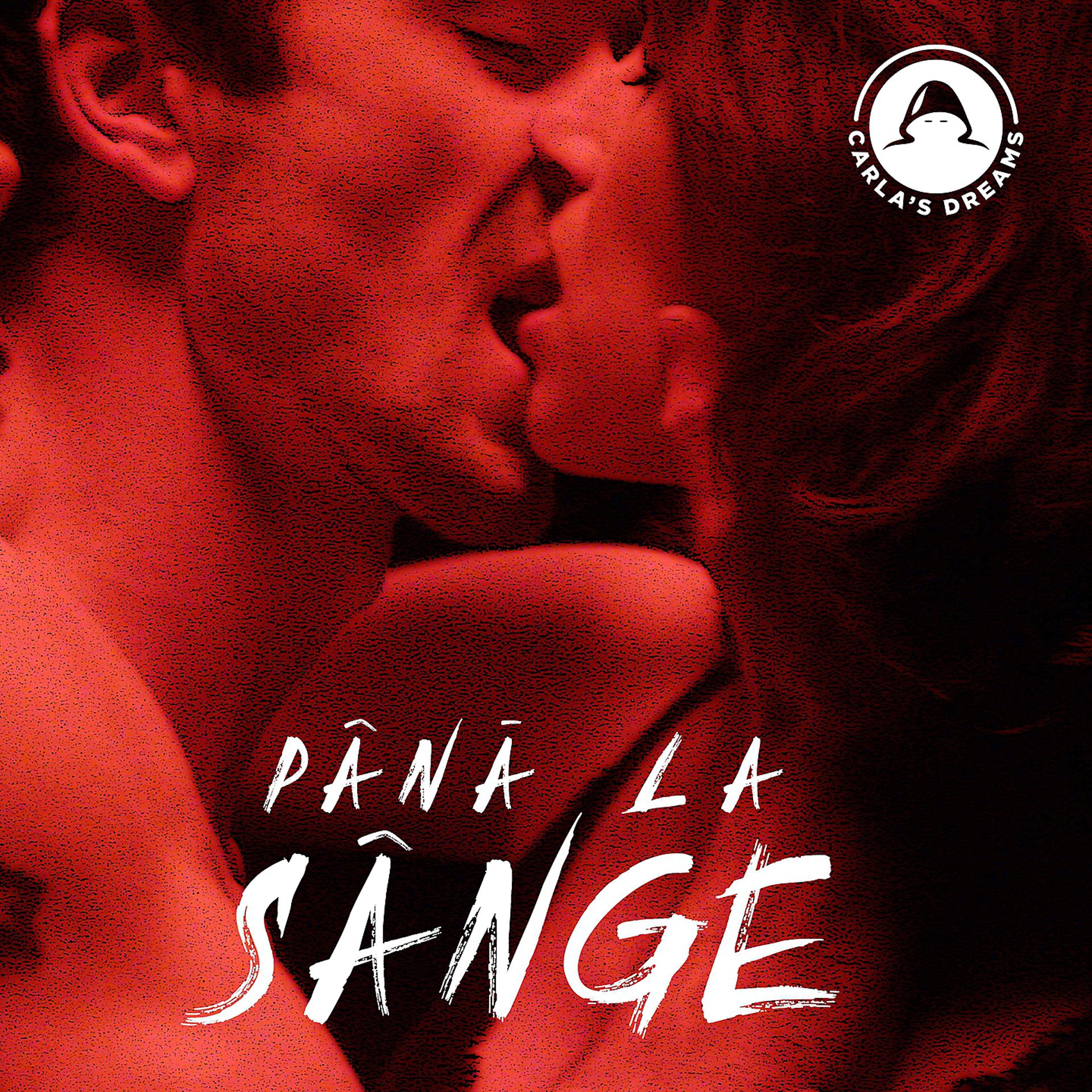 Постер альбома Pana La Sange
