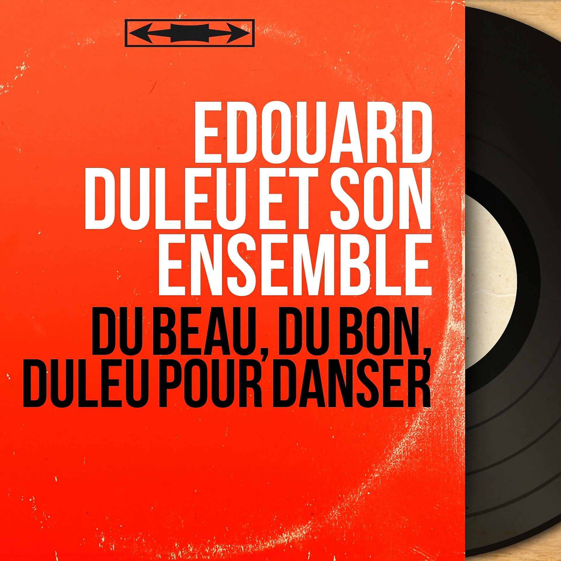 Постер альбома Du beau, du bon, Duleu pour danser
