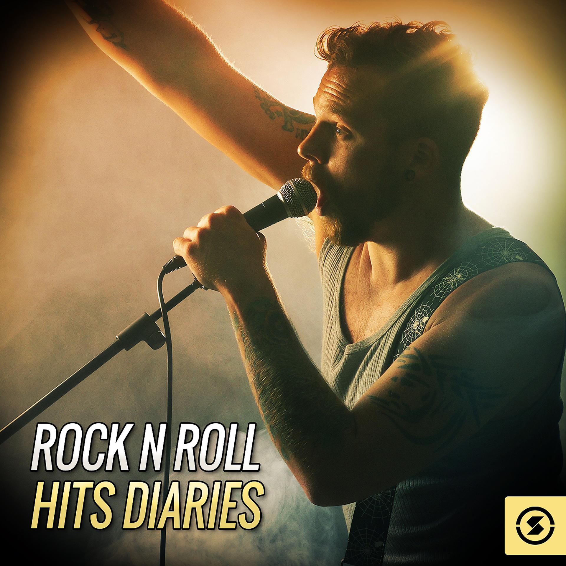 Постер альбома Rock n Roll Hits Diaries