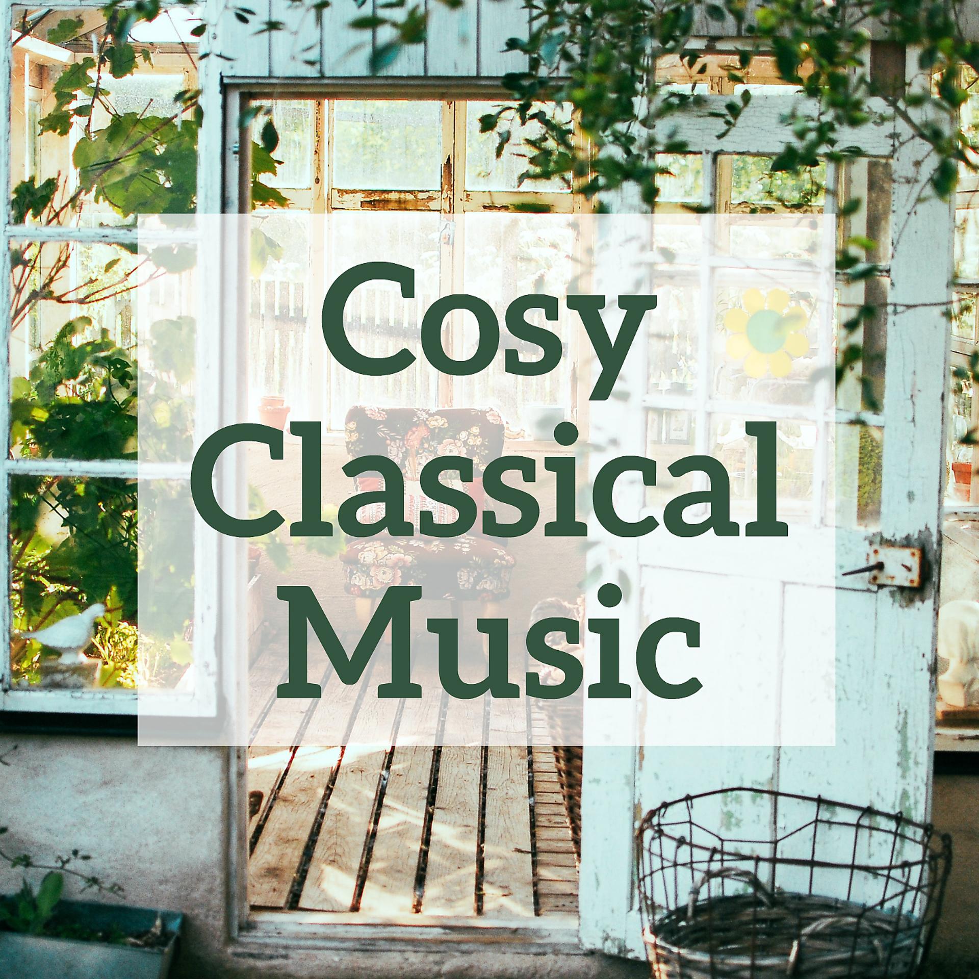 Постер альбома Cosy Classical Music