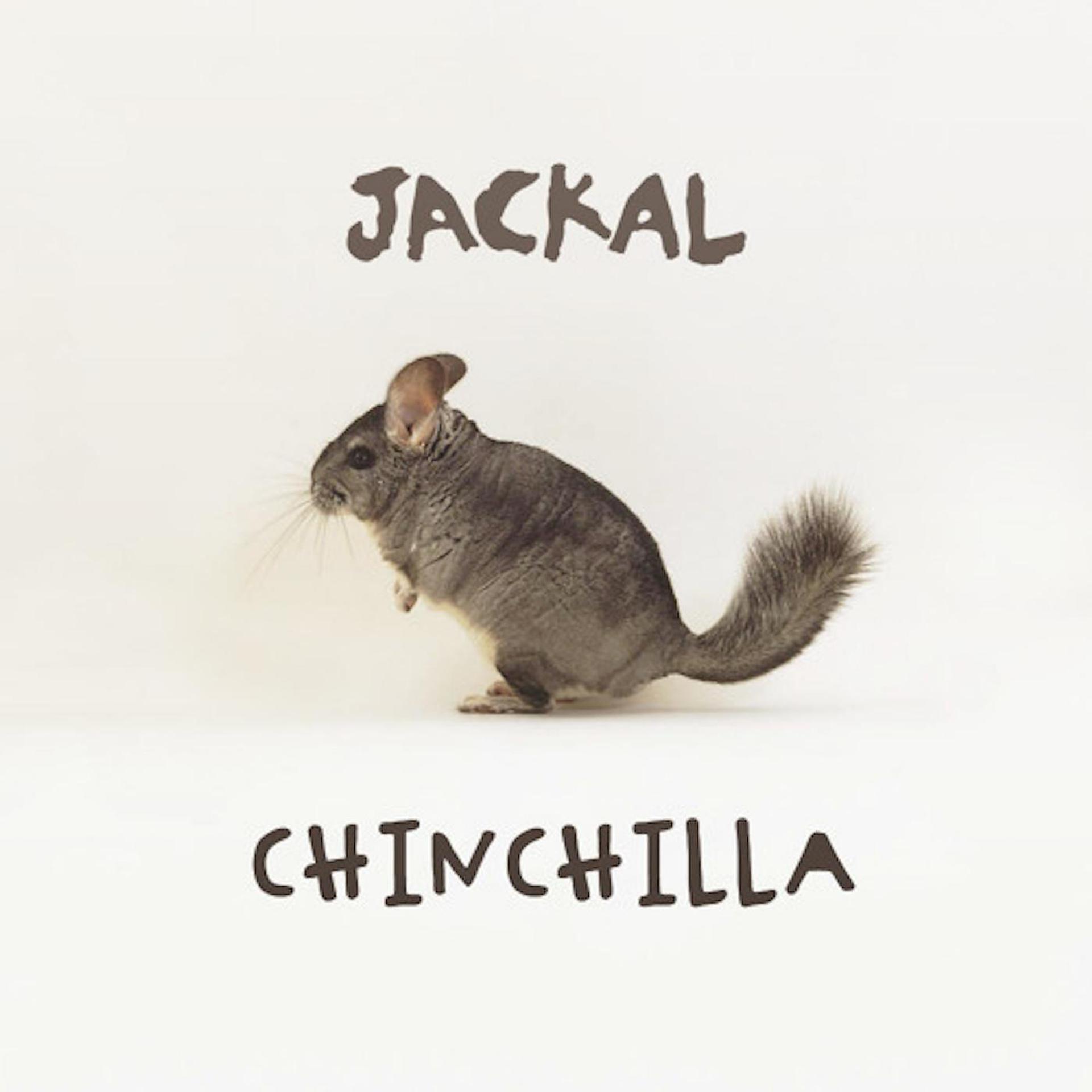Постер альбома Chinchilla