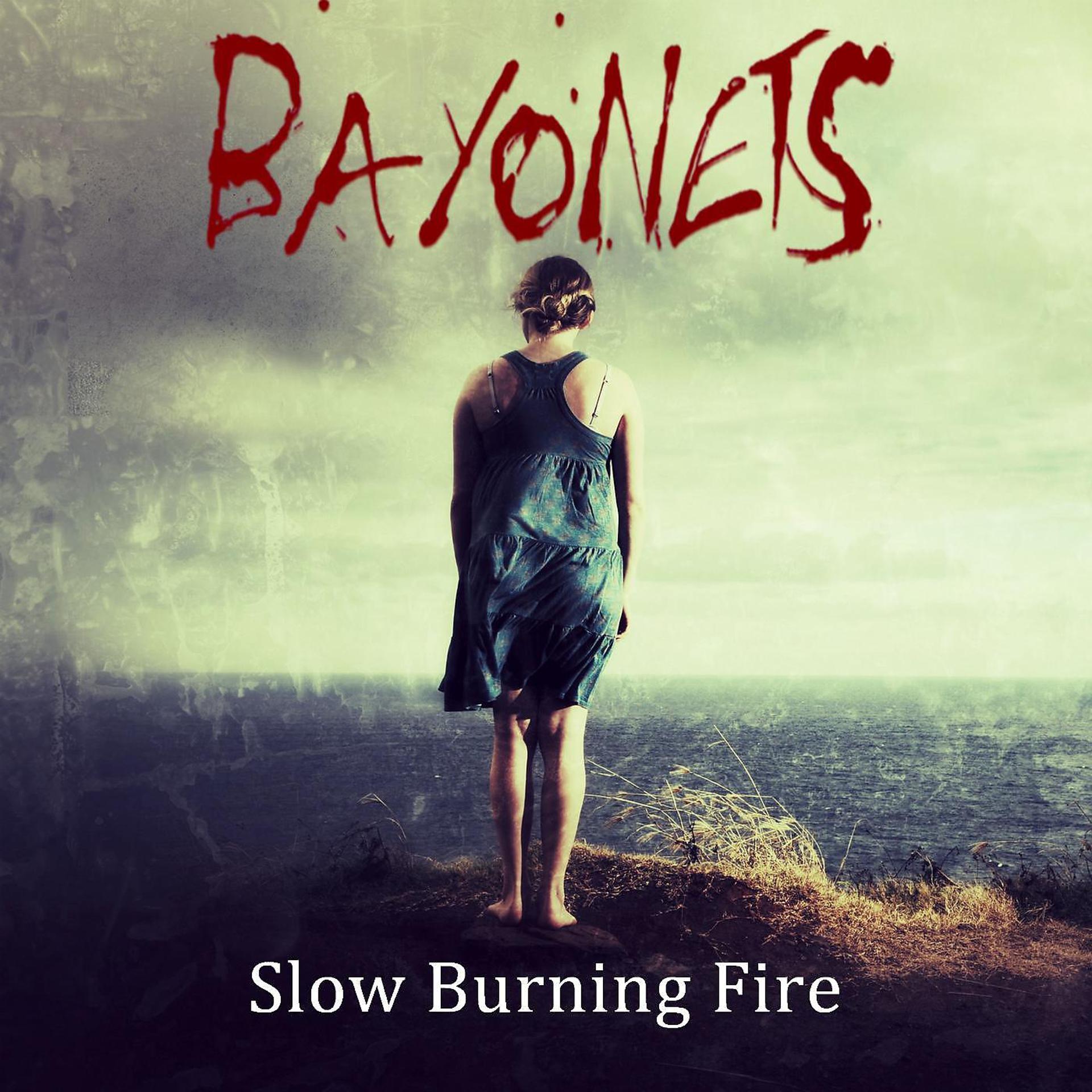 Постер альбома Slow Burning Fire