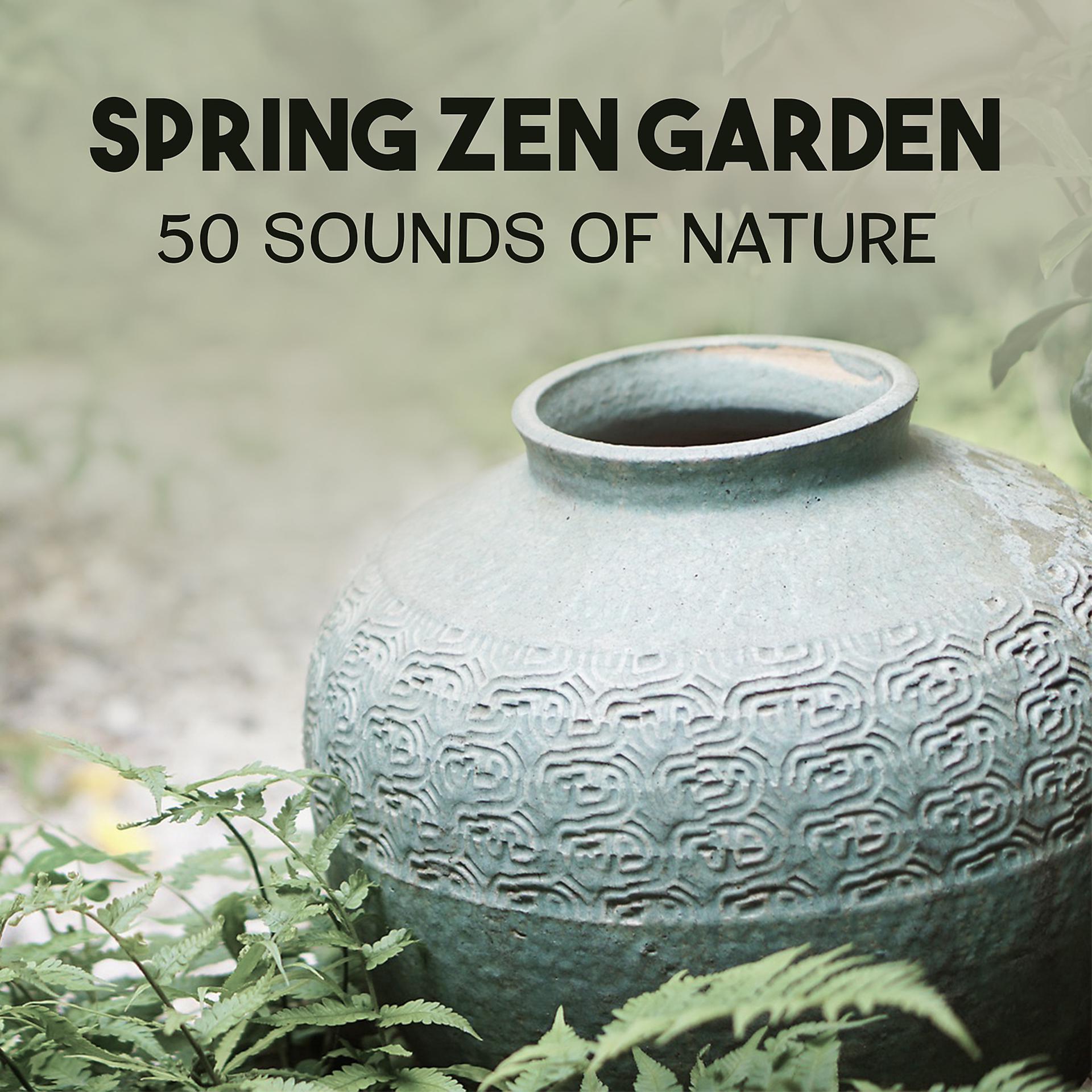 Постер альбома Spring Zen Garden: 50 Sounds of Nature - Relaxing Ambience for Mindfulness Meditation and Yoga, Healing Music for Full Relaxation
