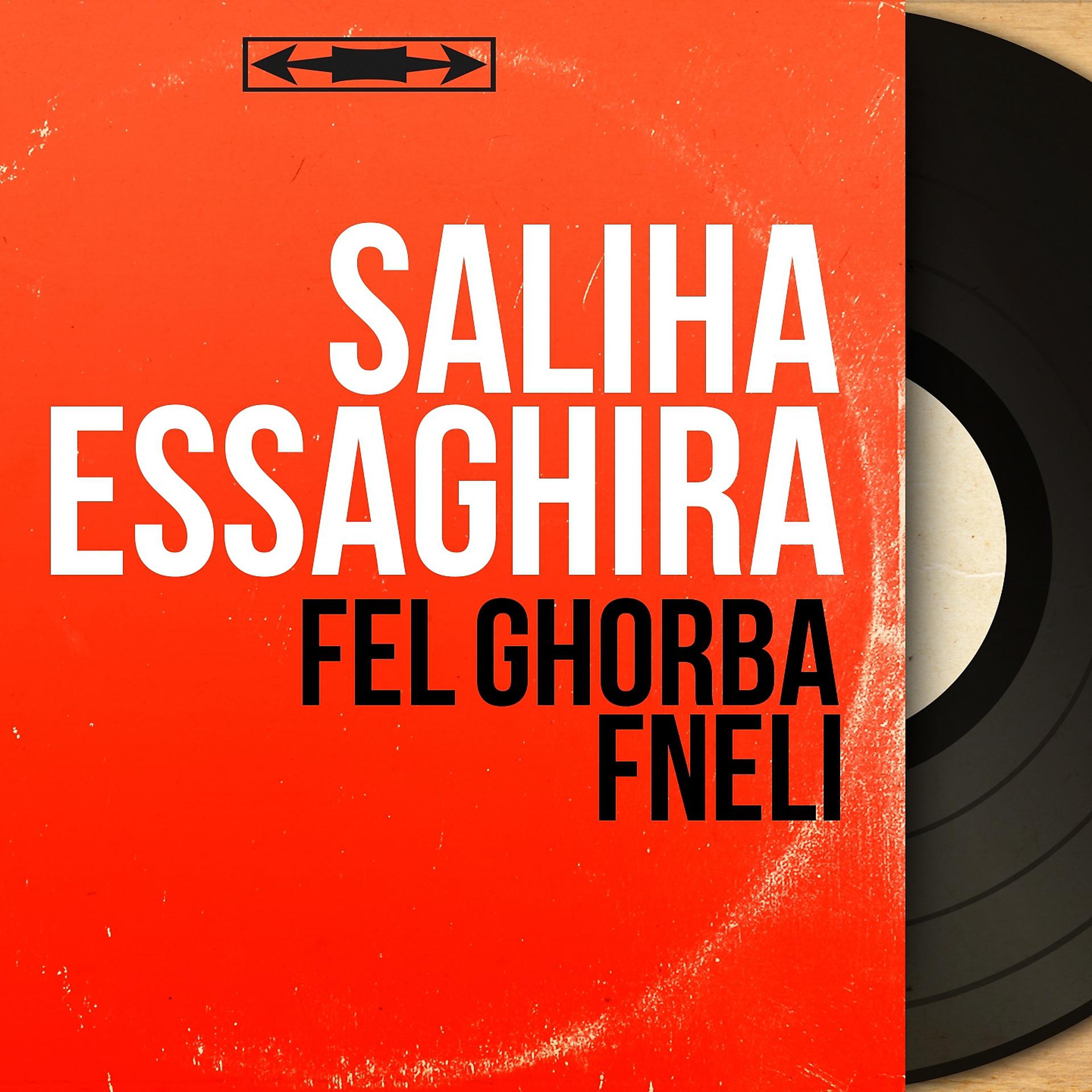 Постер альбома Fel Ghorba Fneli