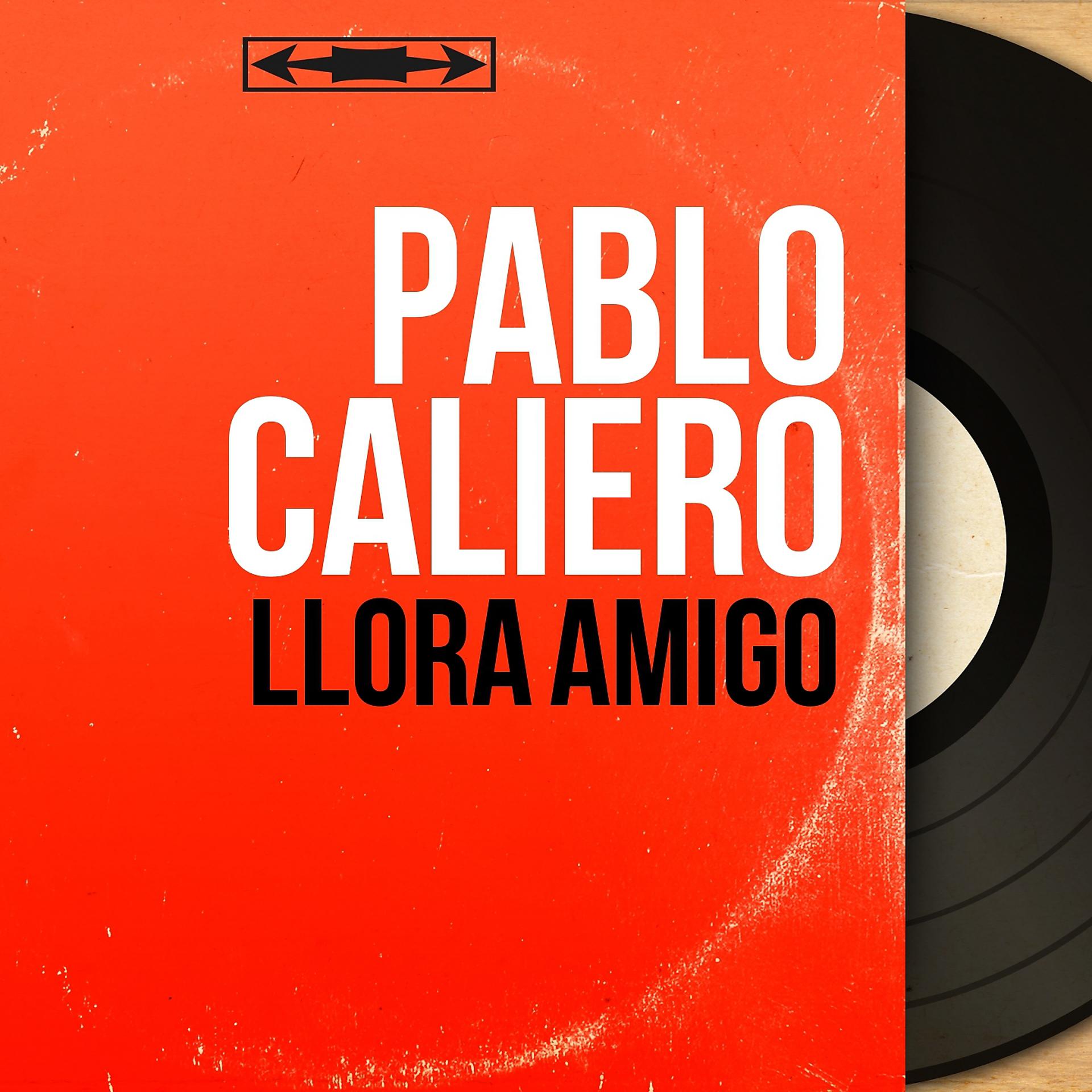 Постер альбома Llora Amigo
