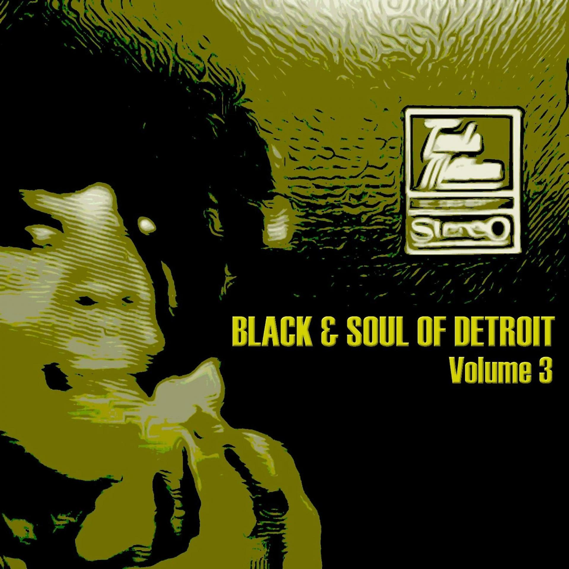 Постер альбома Black & Soul of Detroit, Volume 3